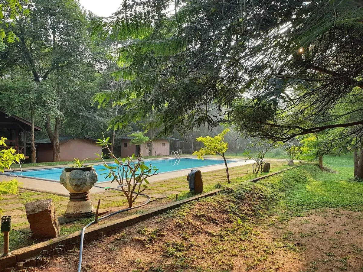 Day in Eighth Wonder Resort