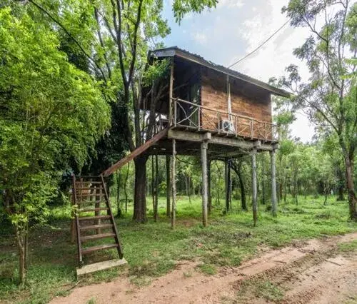 Guests in Eighth Wonder Resort Guests in Eighth Wonder Resort