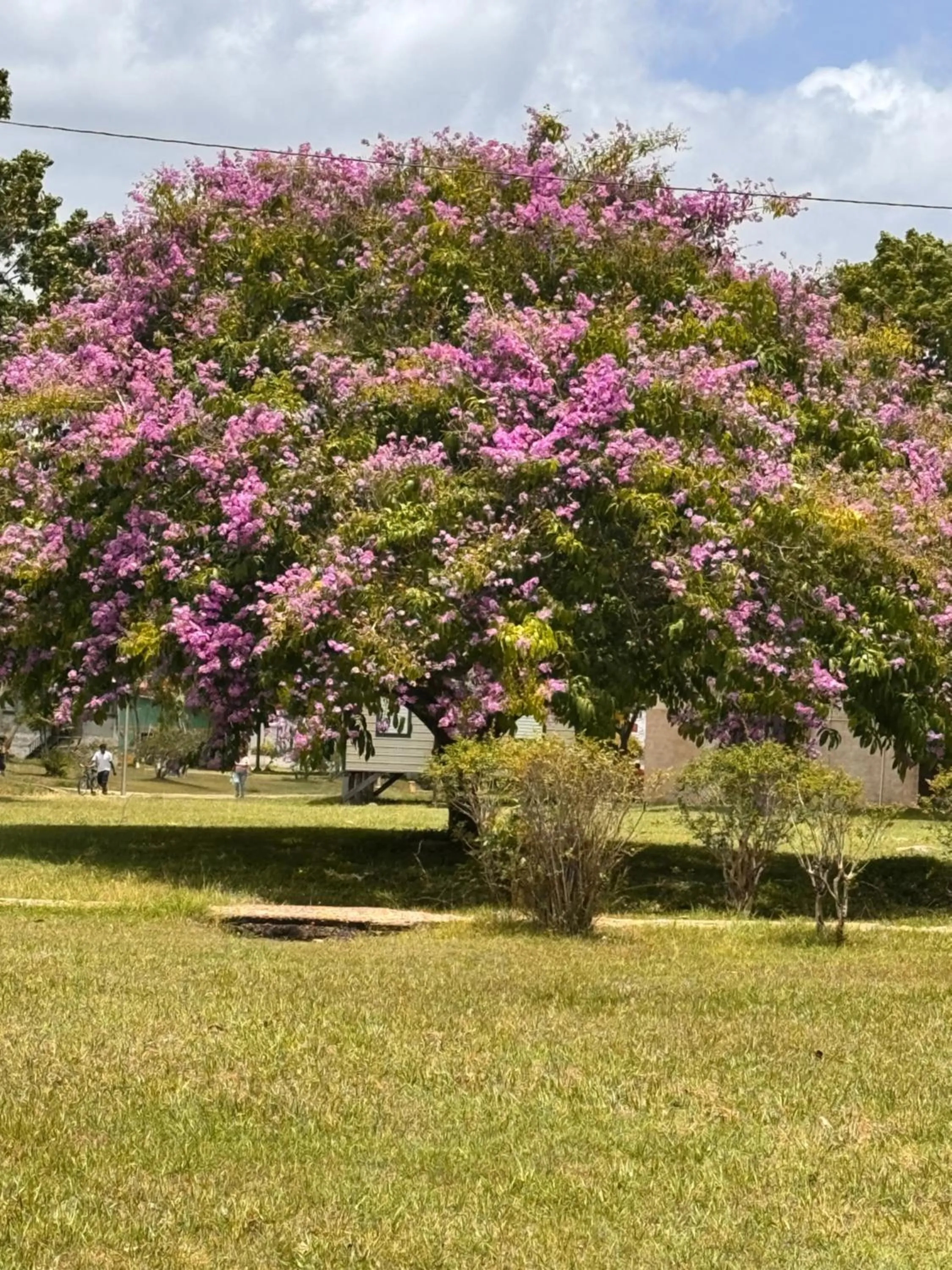 View (from property/room) in EL REY Hotel & Restaurant