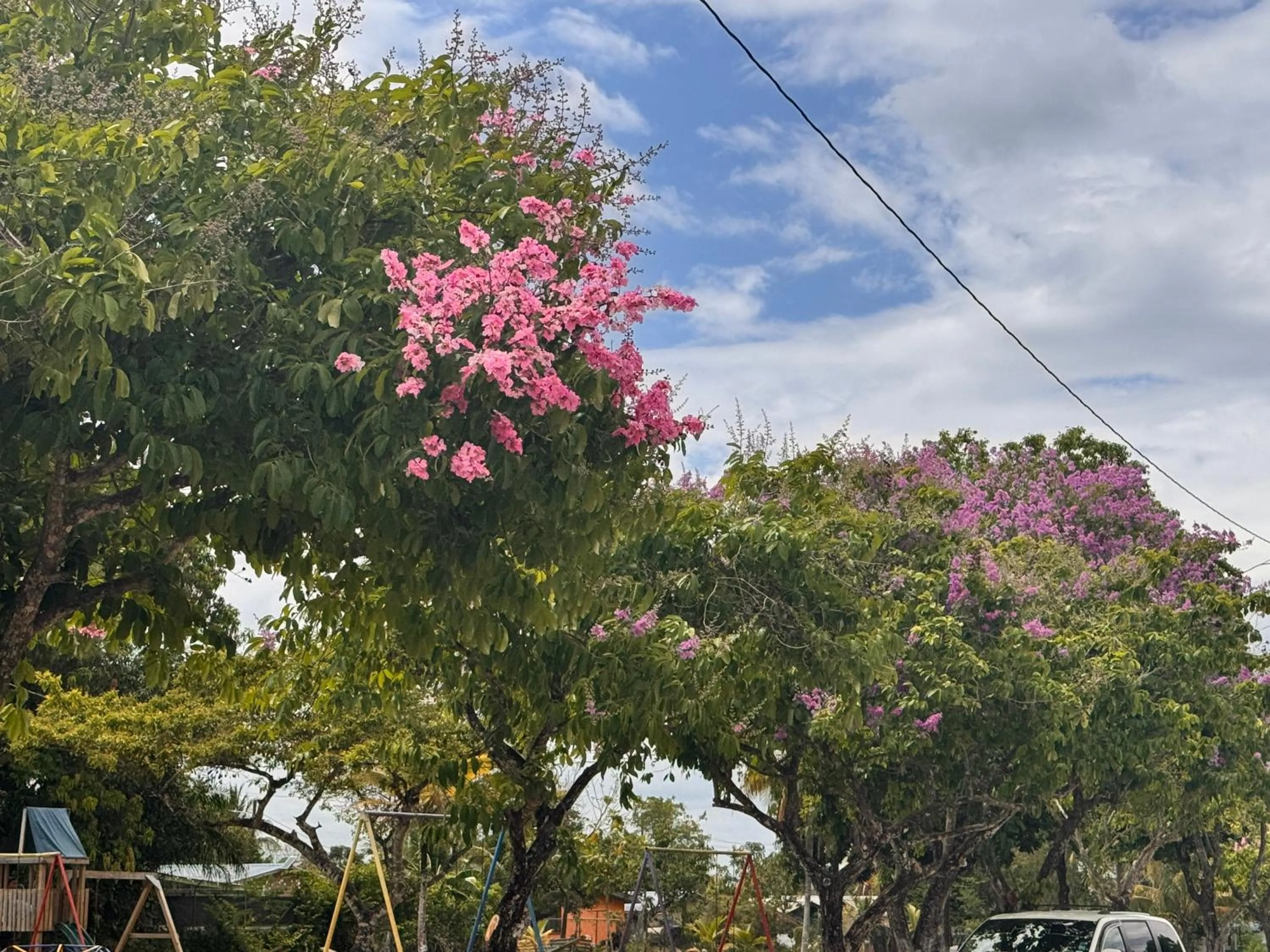 View (from property/room) in EL REY Hotel & Restaurant