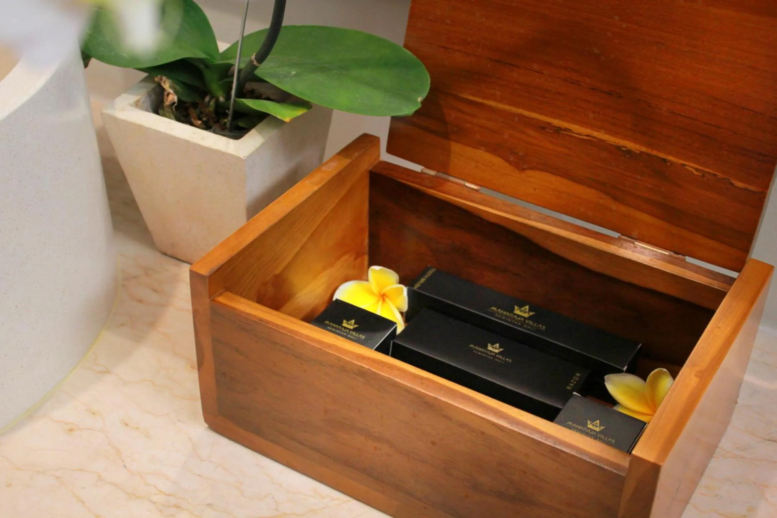 Area and facilities in Maharaja Villas Bali - CHSE Certified