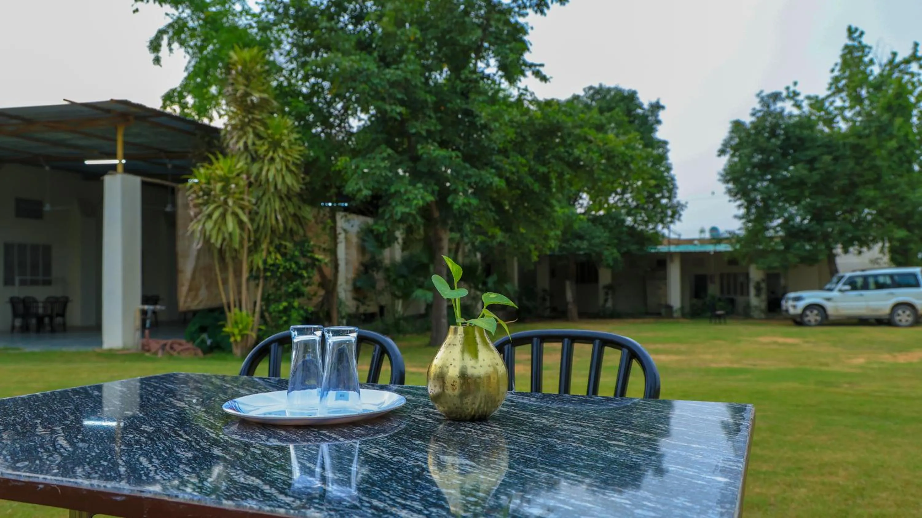 Garden in The Lala Hotel and Resort