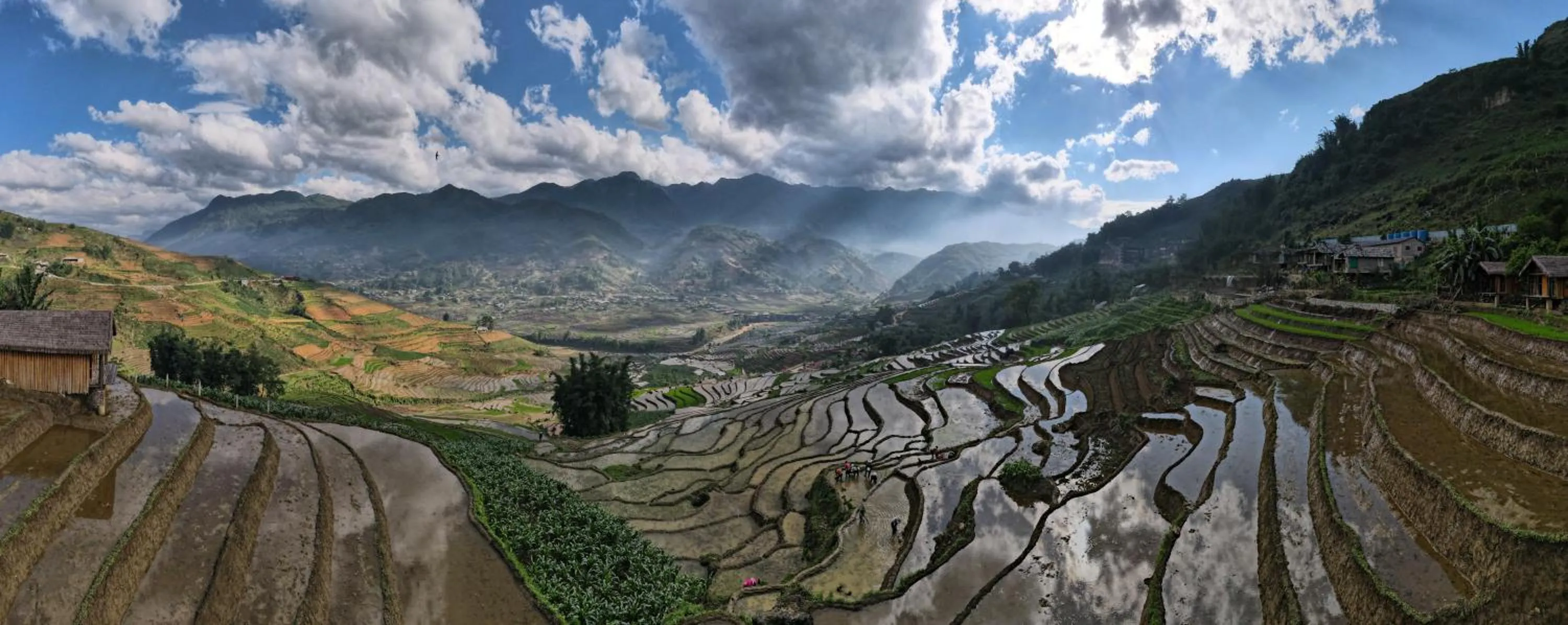 Natural landscape in Eco Palms House - Sapa Retreat