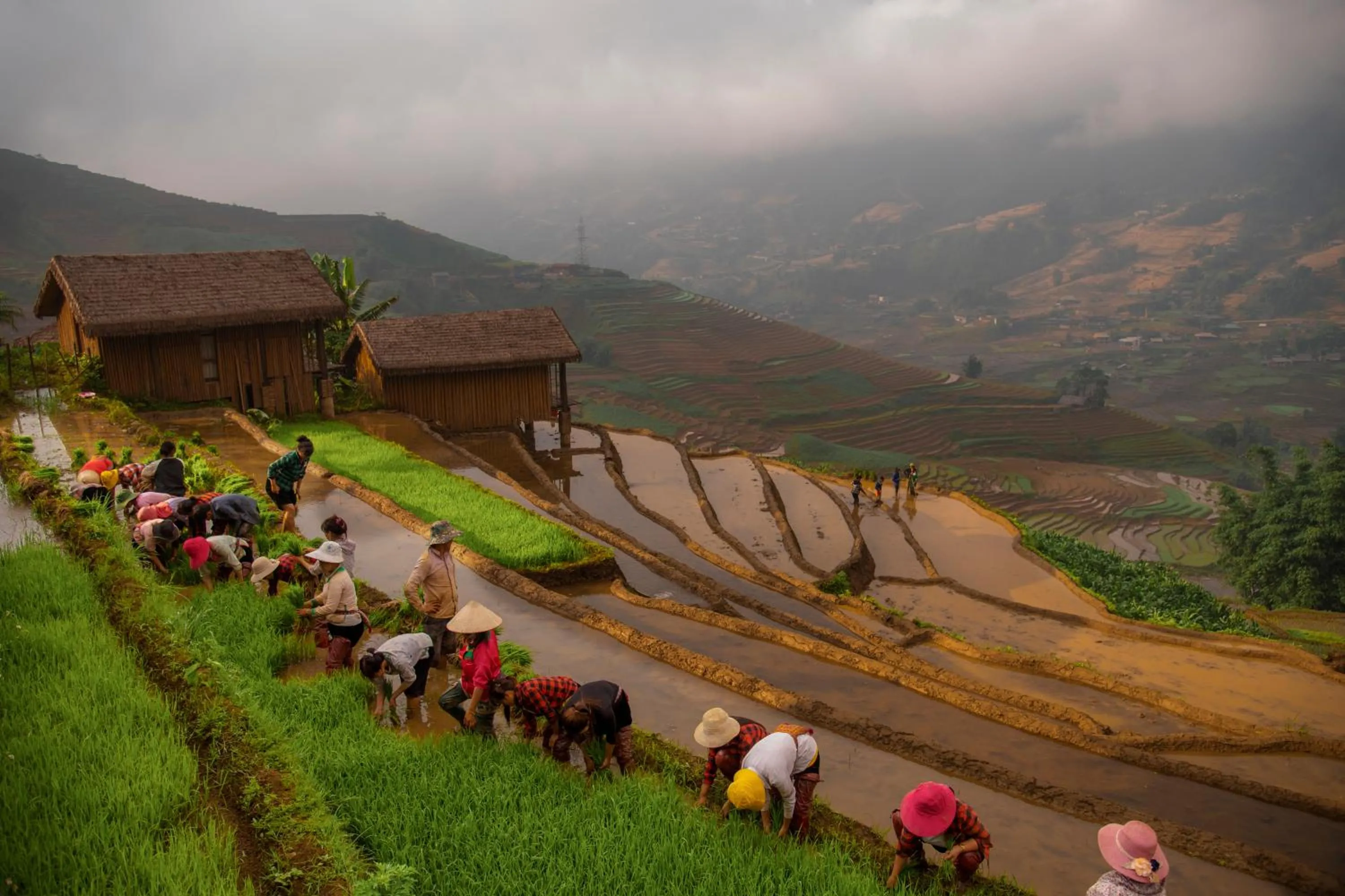 Eco Palms House - Sapa Retreat