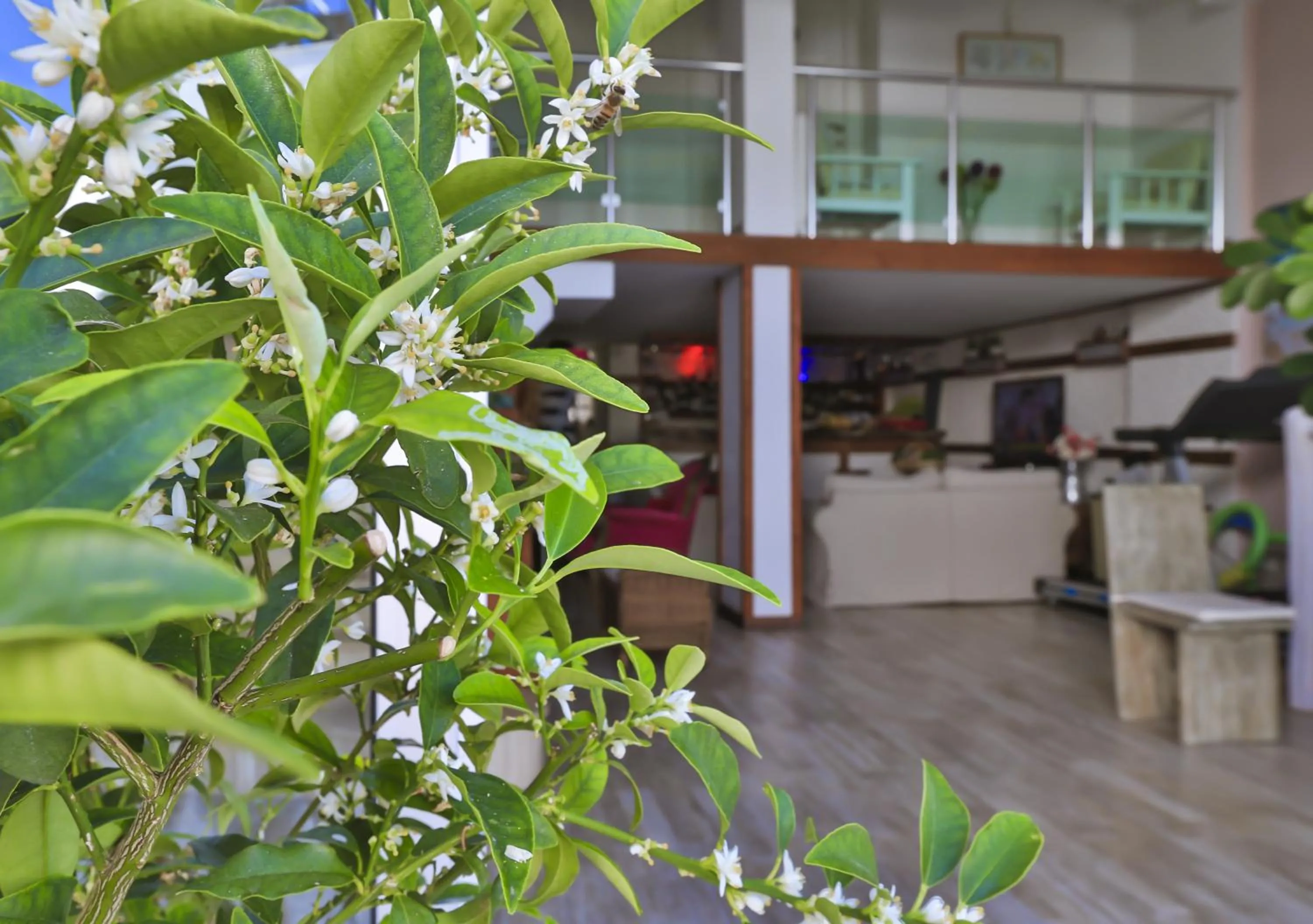 Lobby or reception in Hotel Sonne - Adults Only