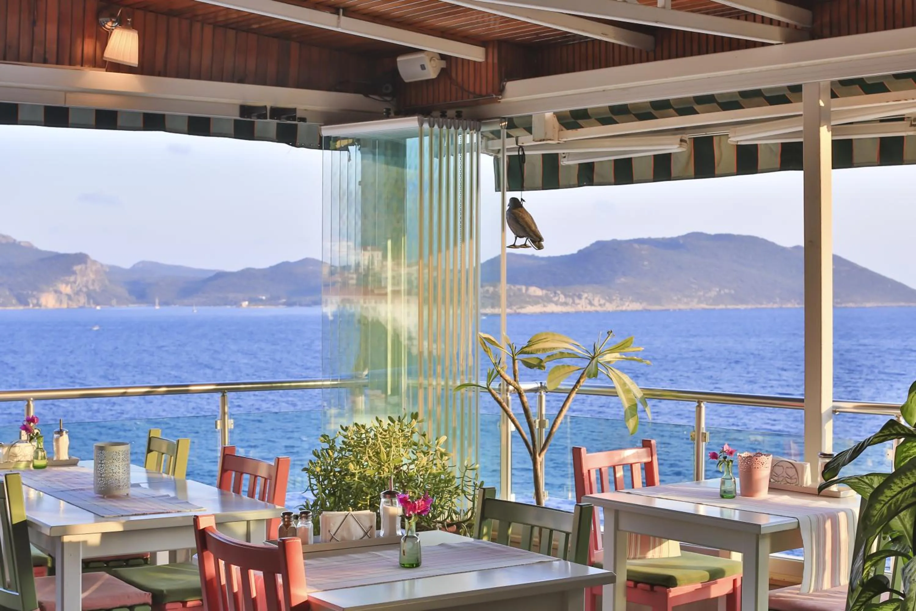 Restaurant/places to eat in Hotel Sonne - Adults Only