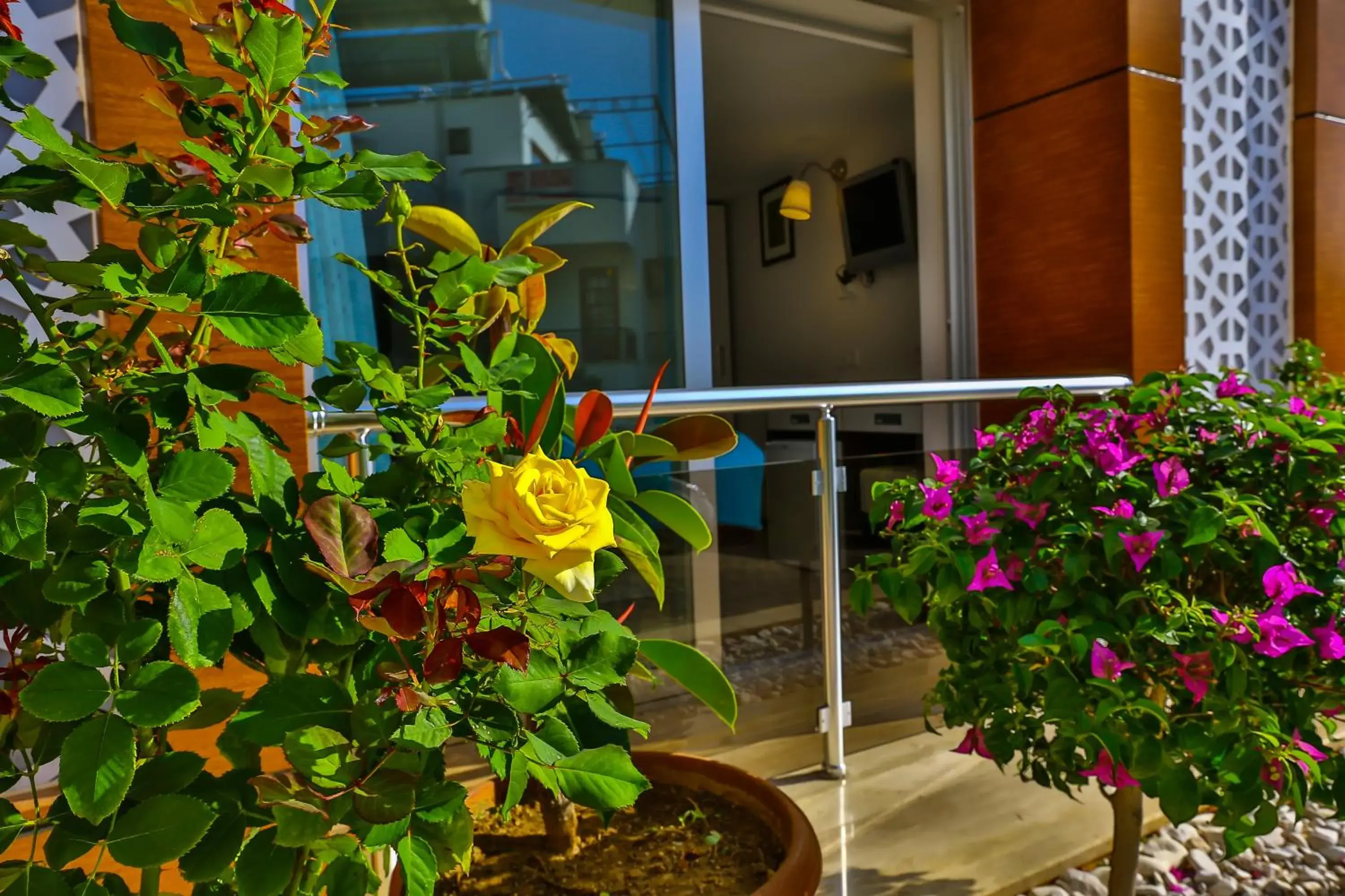 Facade/entrance in Hotel Sonne - Adults Only Facade/entrance in Hotel Sonne - Adults Only