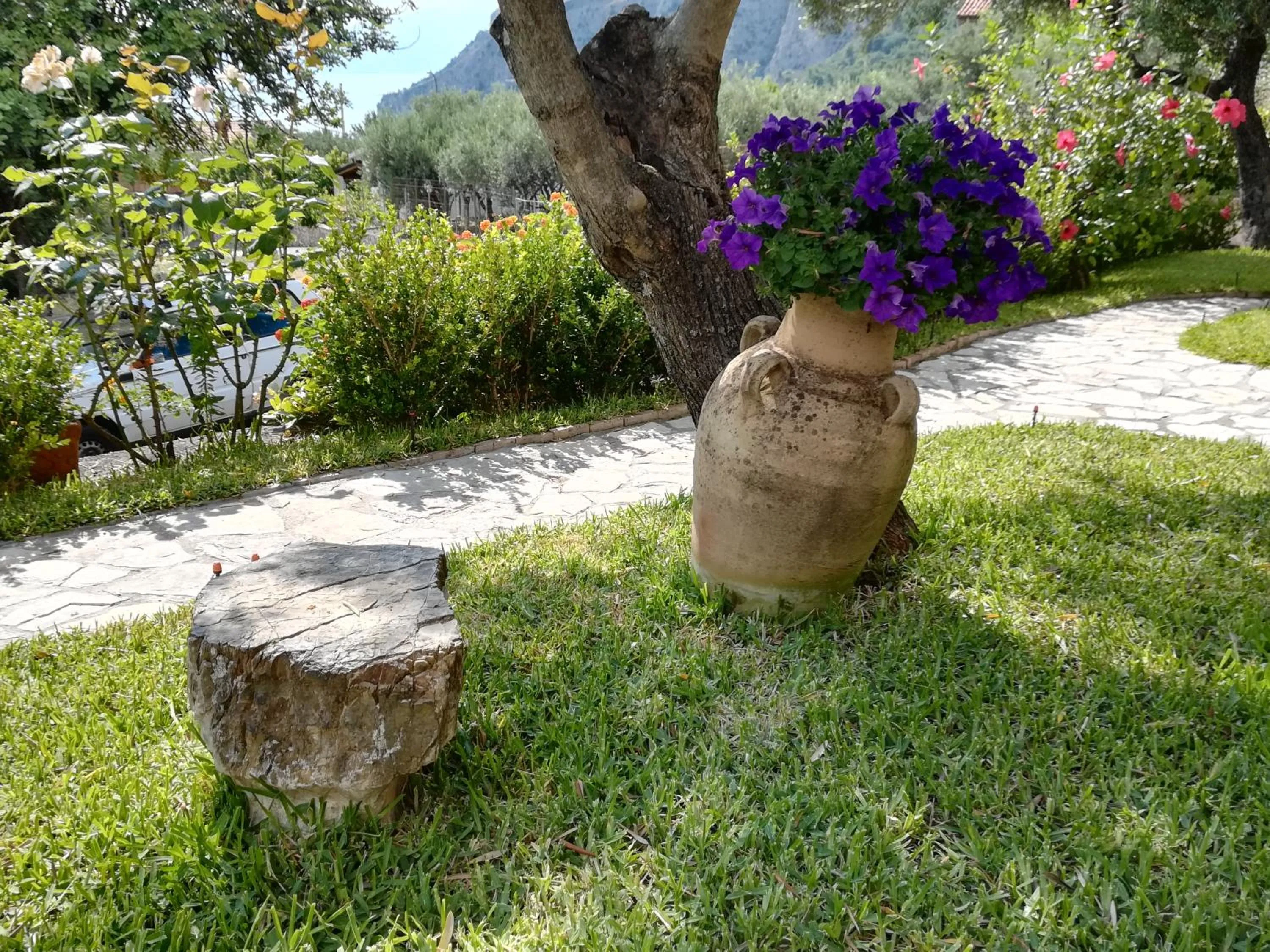 Garden in B&b La Giara