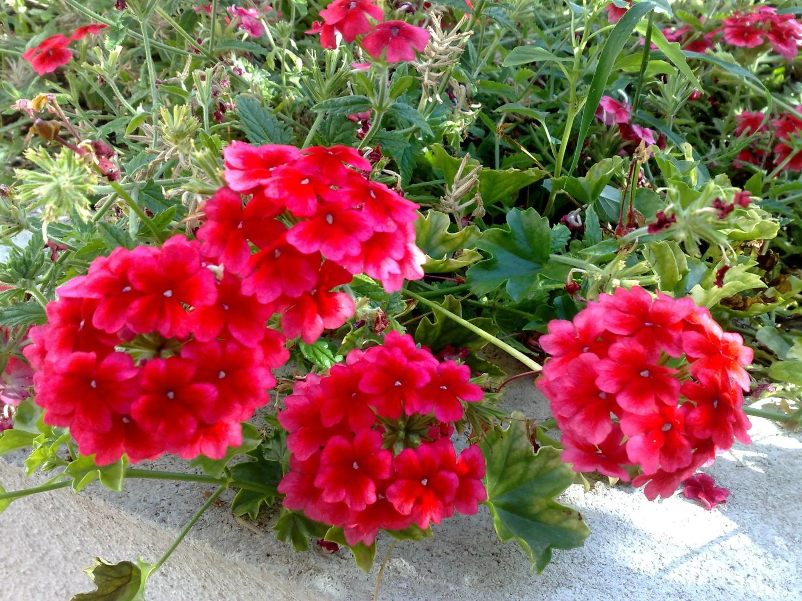 Decorative detail in B&b La Giara