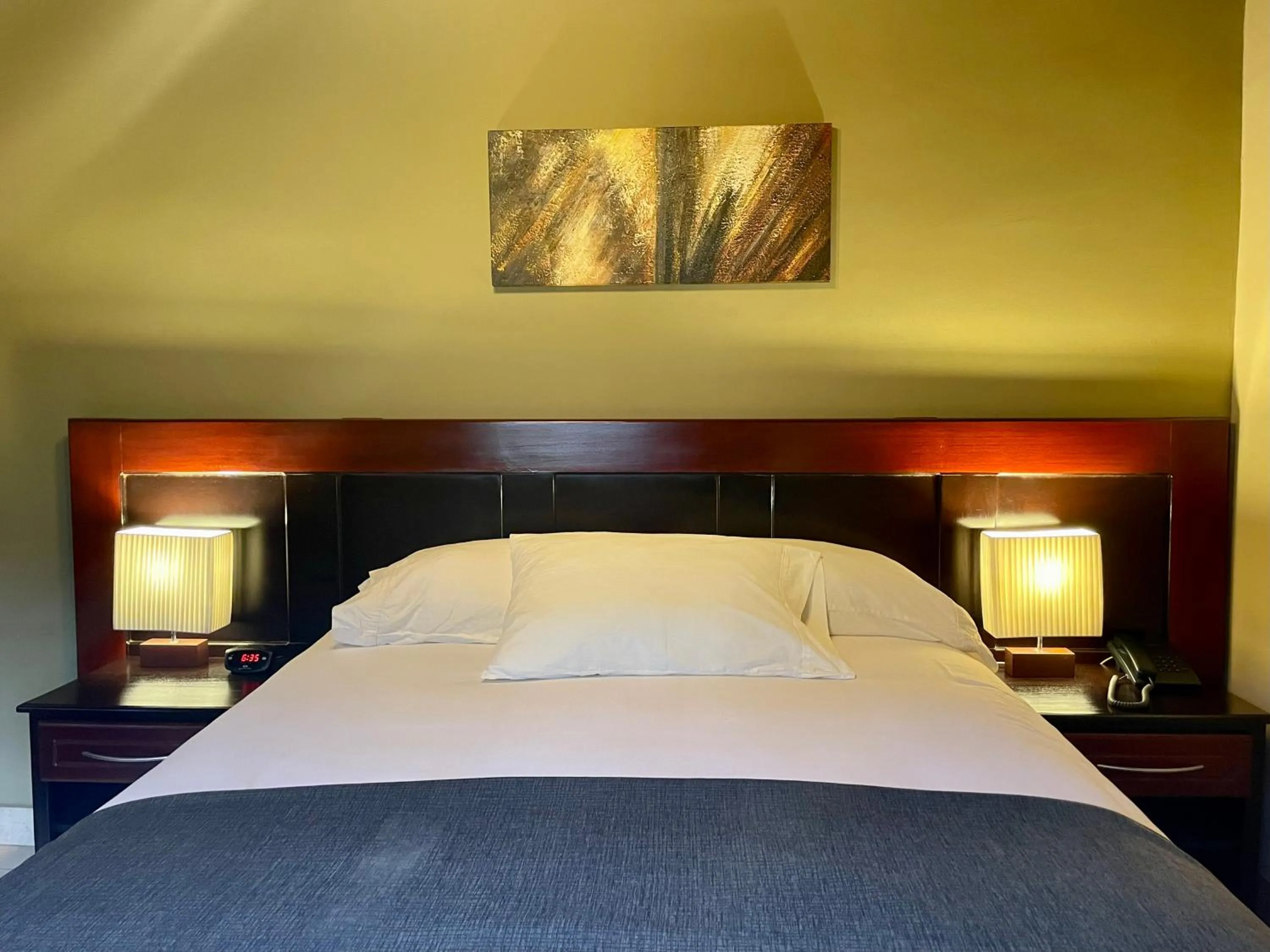 Standard Queen Room in Sofia's B&B Hostal Boutique