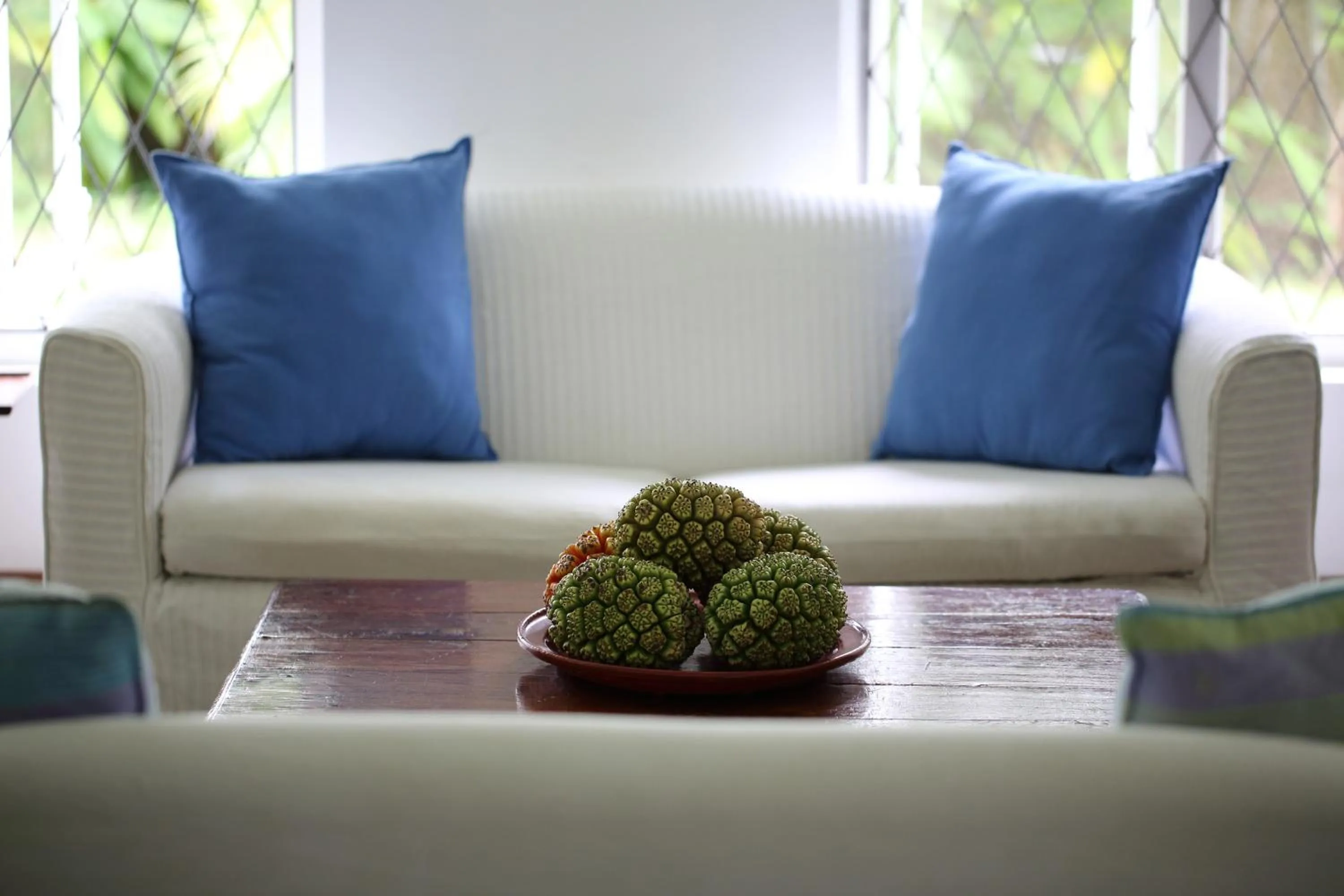 Stone Well Garden Villa