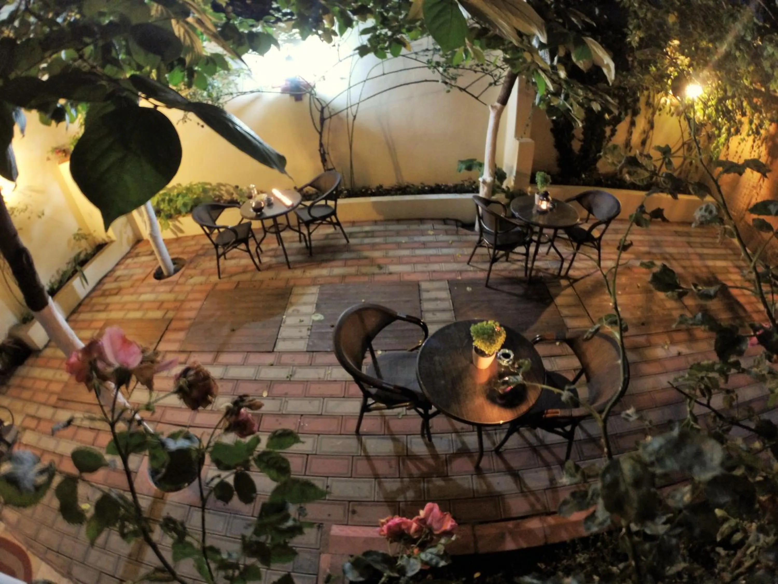 Garden view in Ottoman's Pearl Hotel