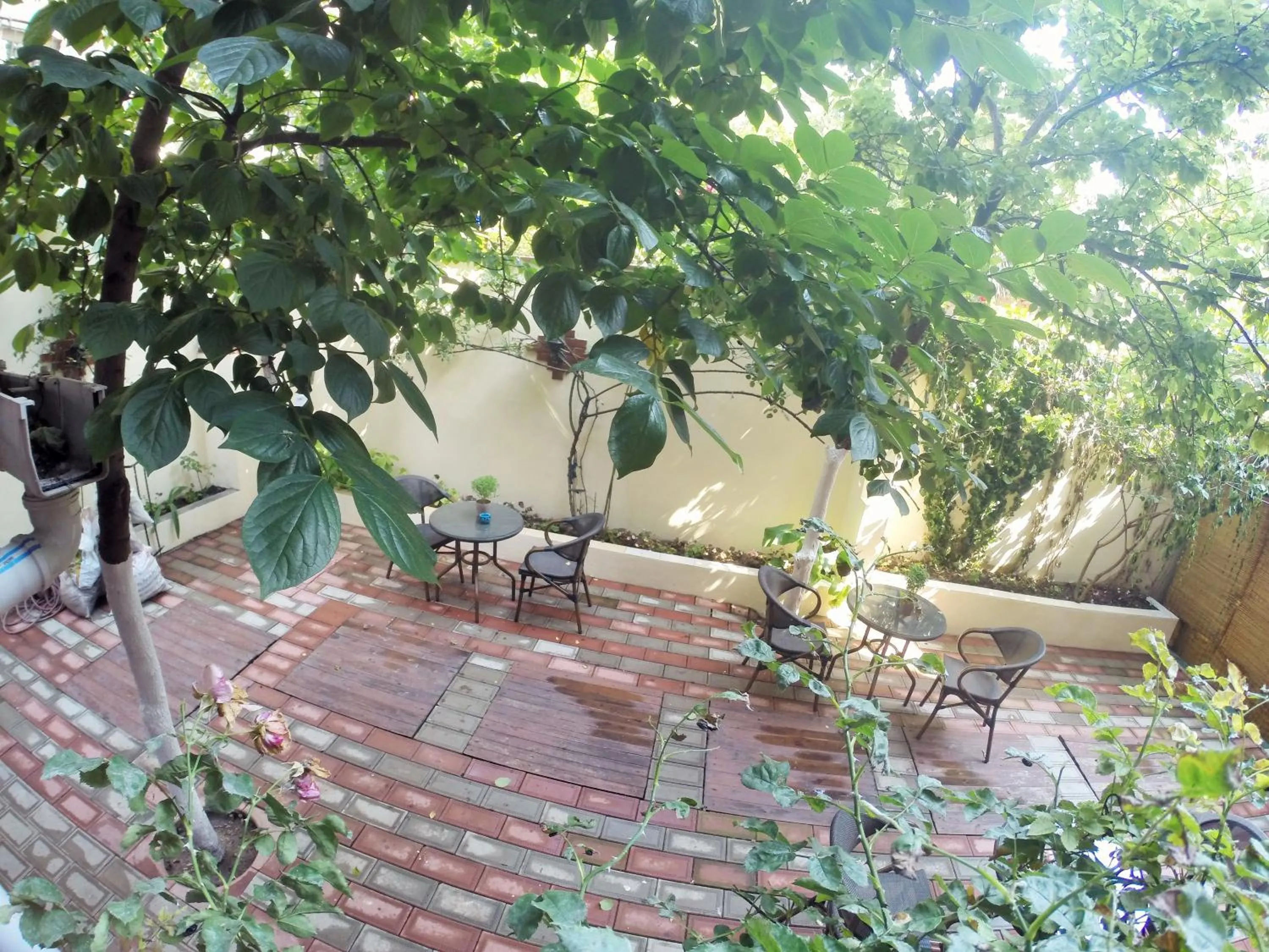 Garden view in Ottoman's Pearl Hotel