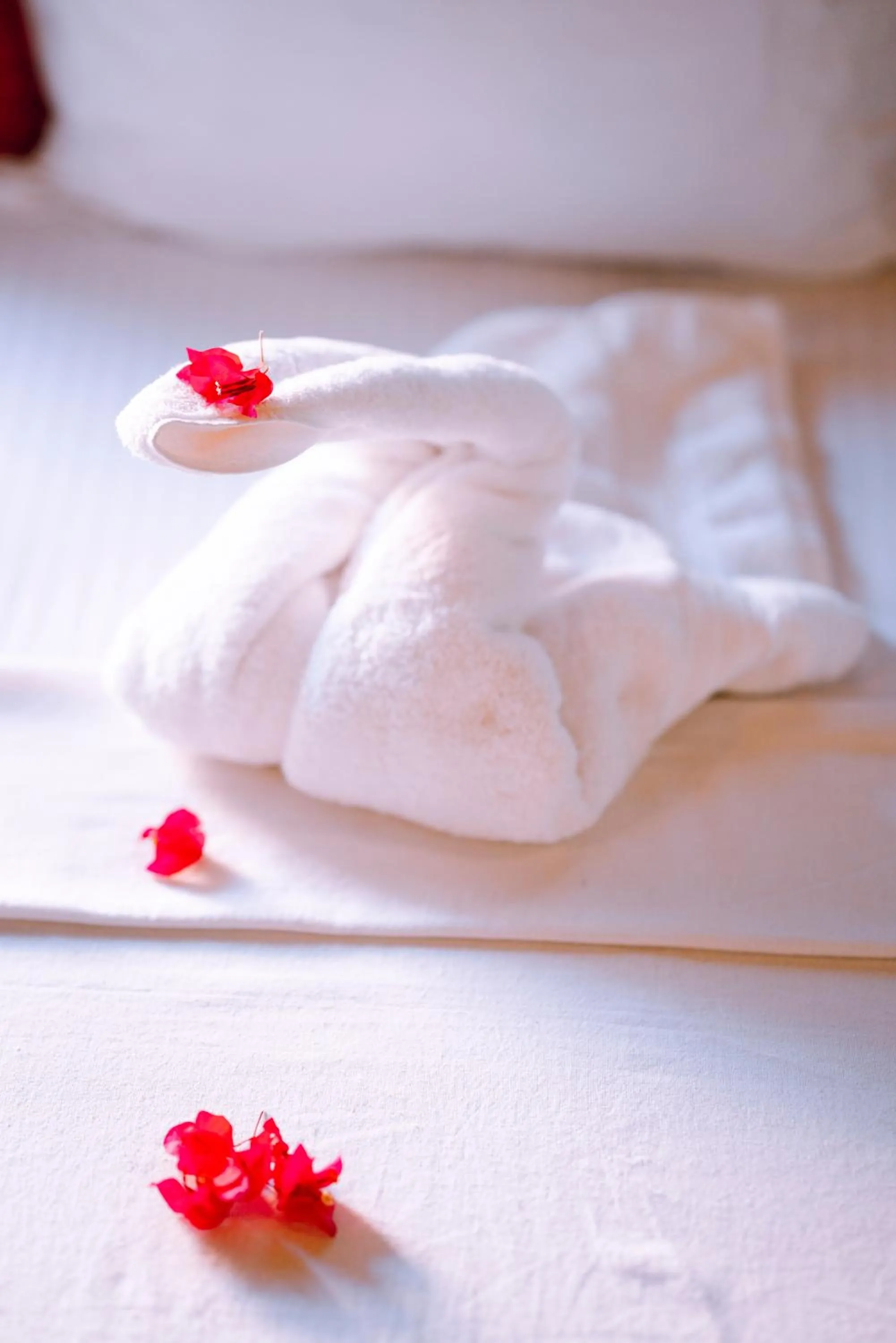 The Frangipani motel