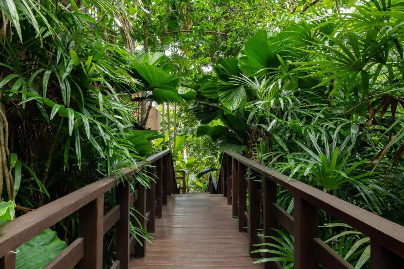 Balcony/Terrace in Villa Lydia, Koh Yao Noi