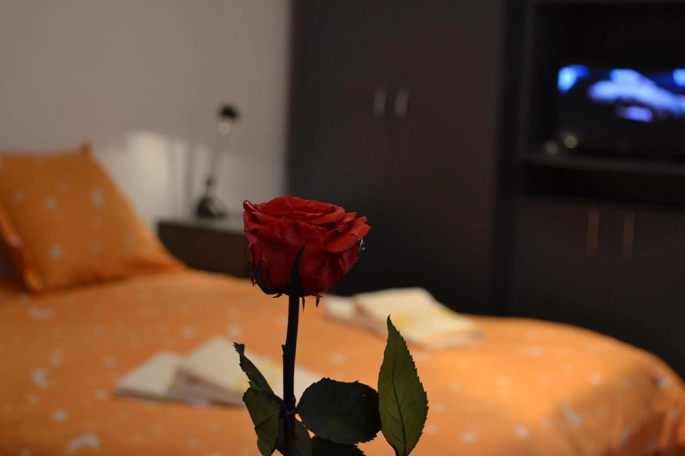 Bed in Victoria Studio