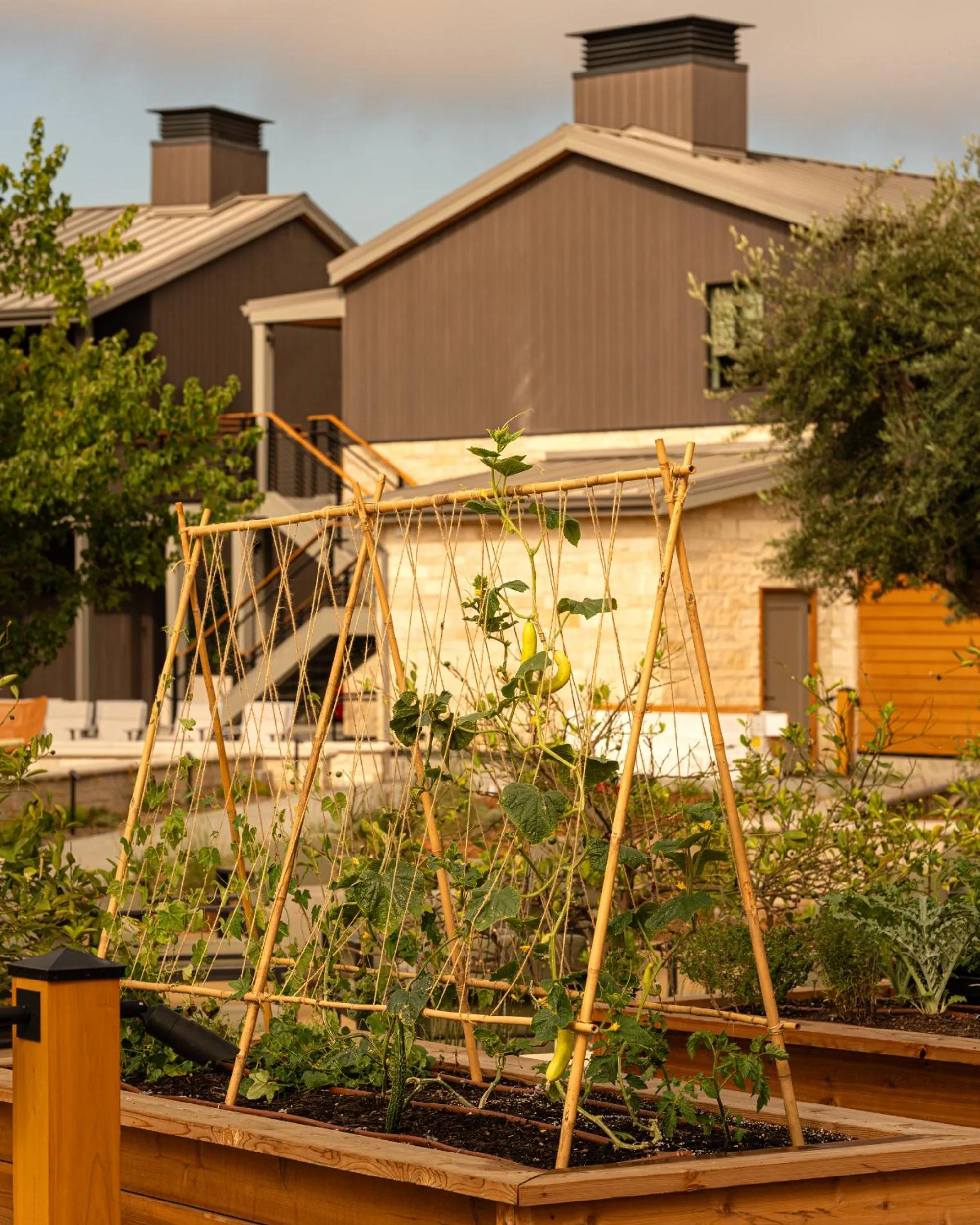 Garden in Appellation Healdsburg