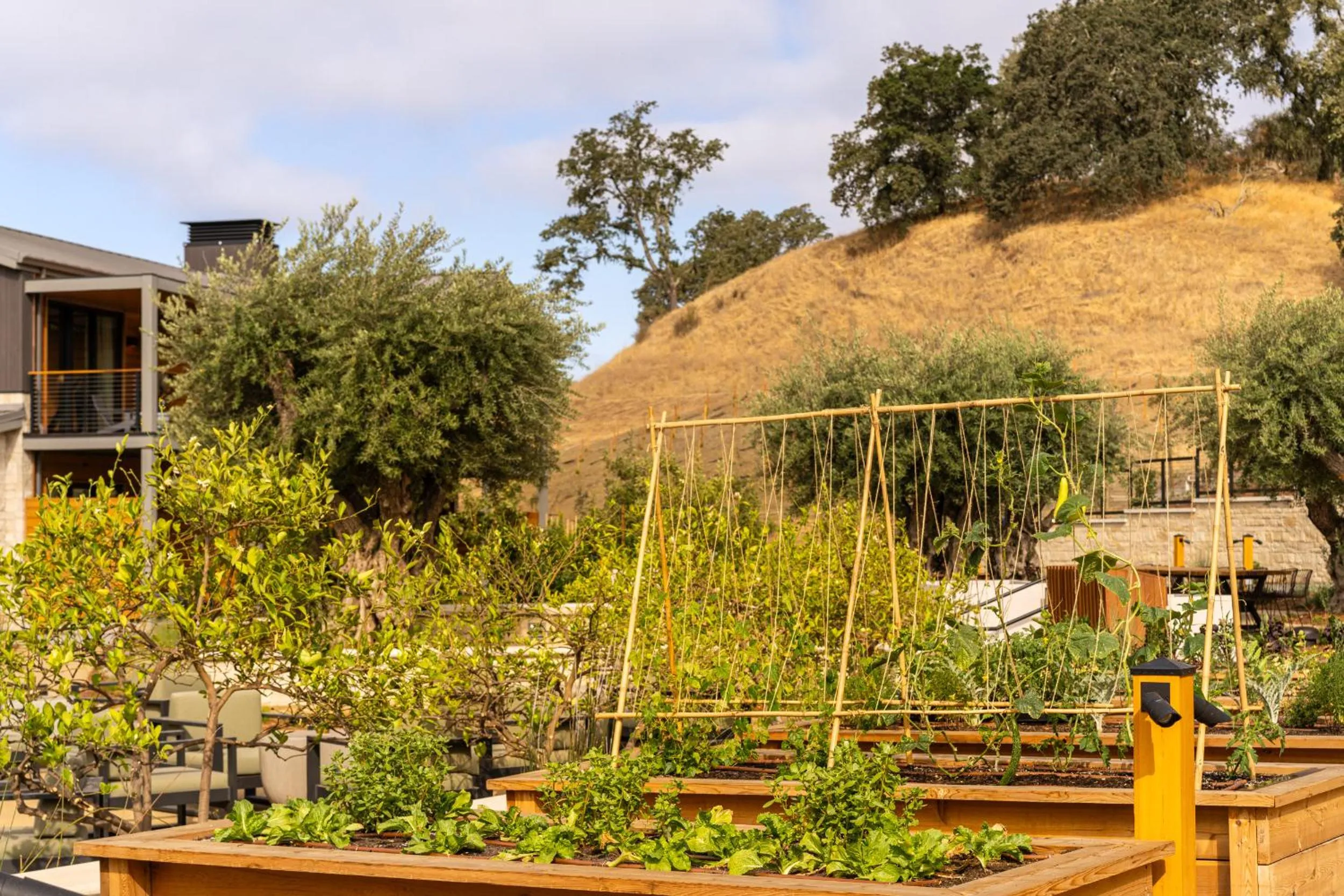 Garden in Appellation Healdsburg