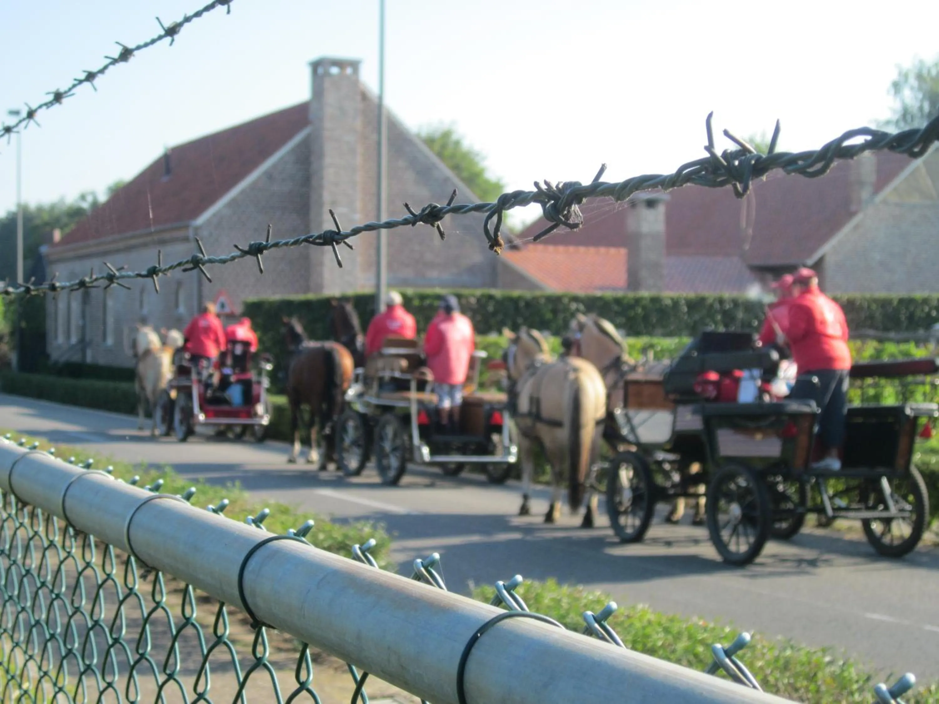 Horse-riding in Hotel De Watermolen