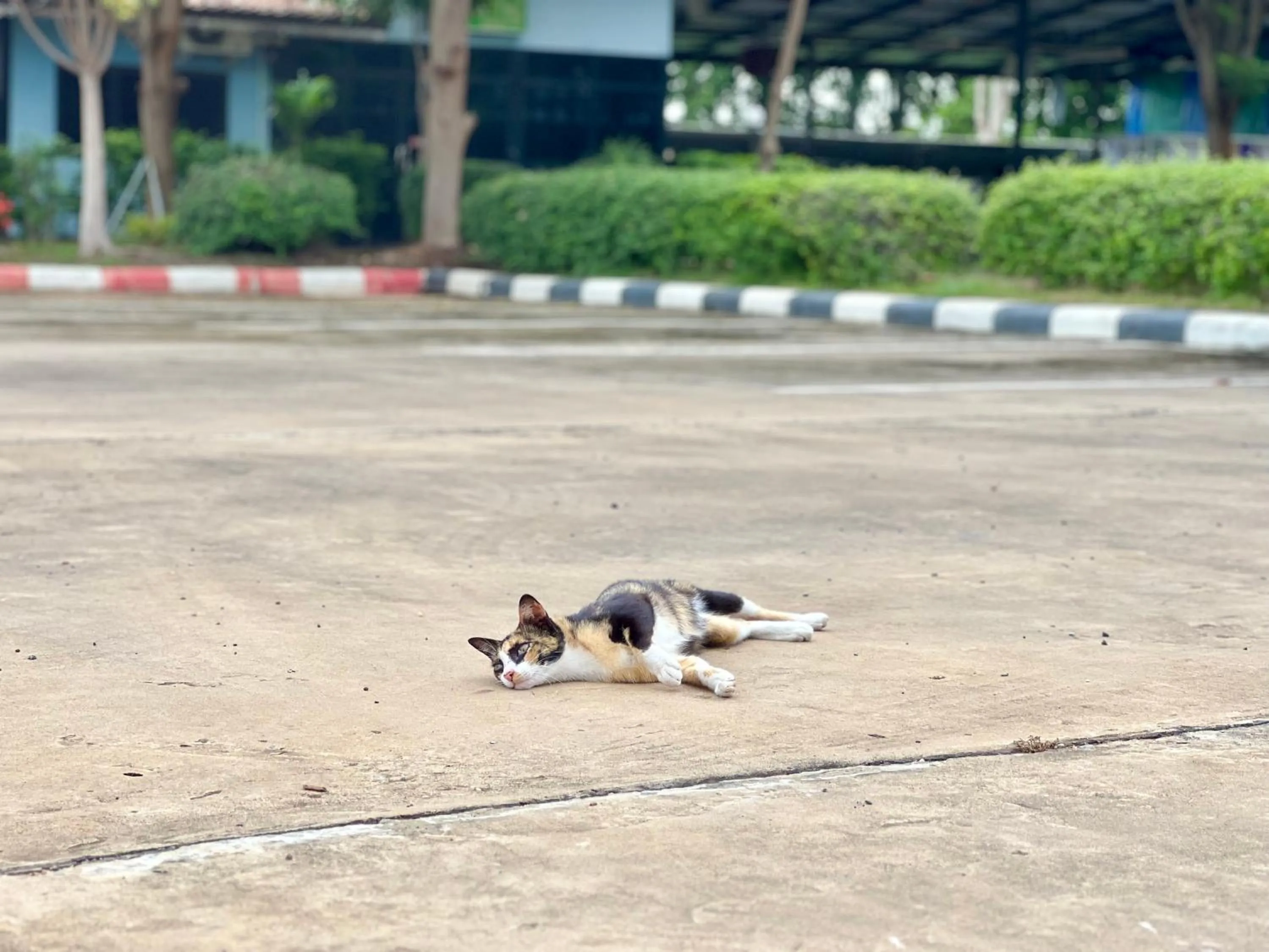 Area and facilities in Rungreang Hotel