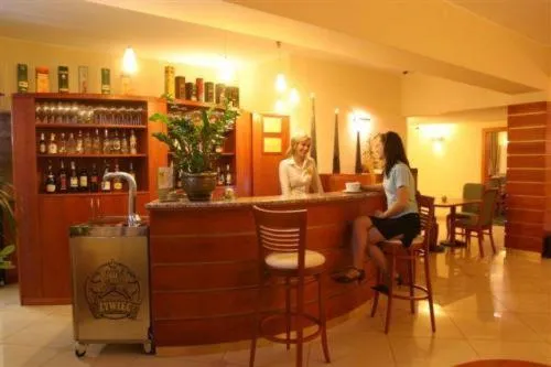 Lounge or bar in Hotel Abrava