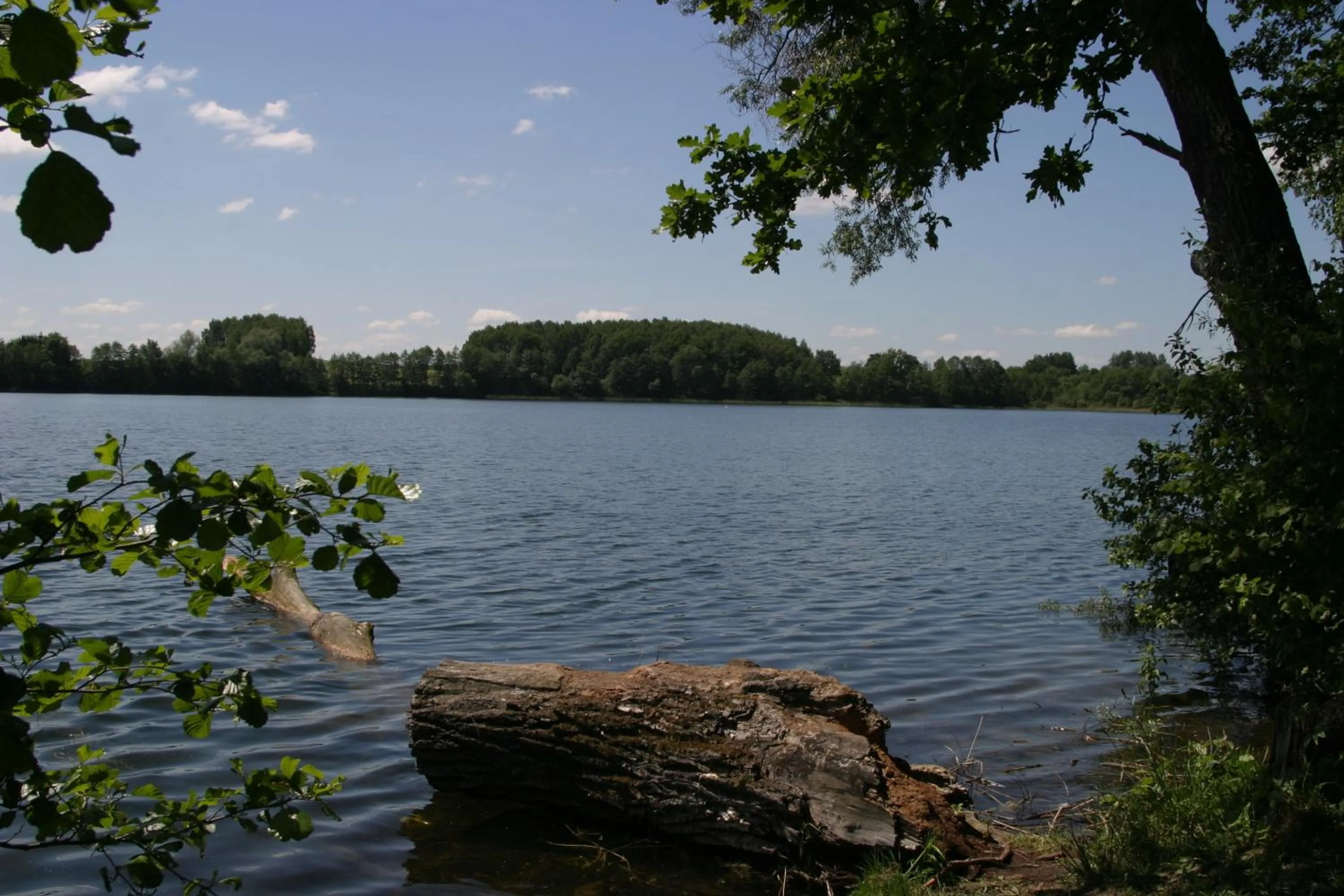 Natural landscape in Hotel Abrava