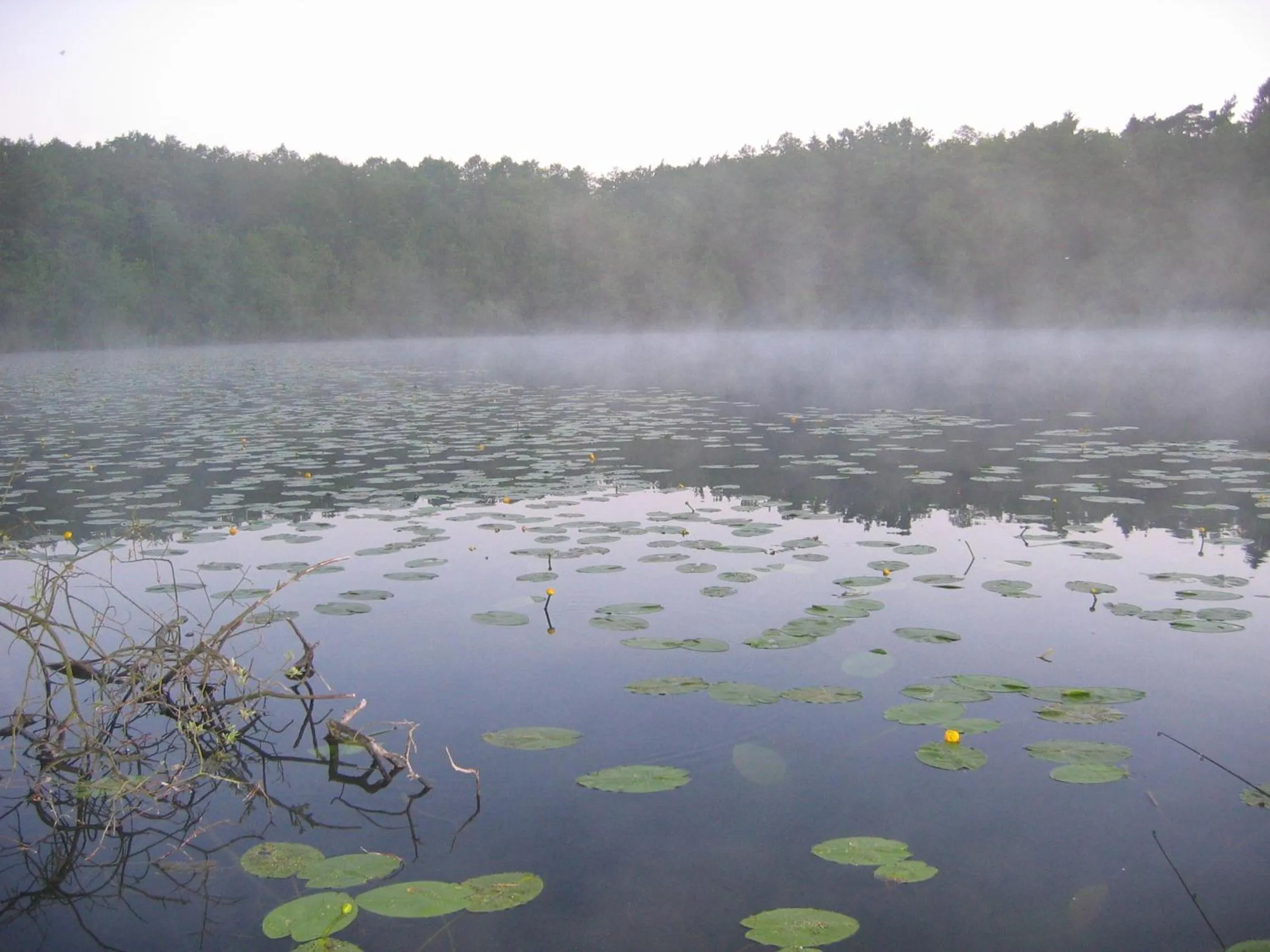 Natural landscape in Hotel Abrava