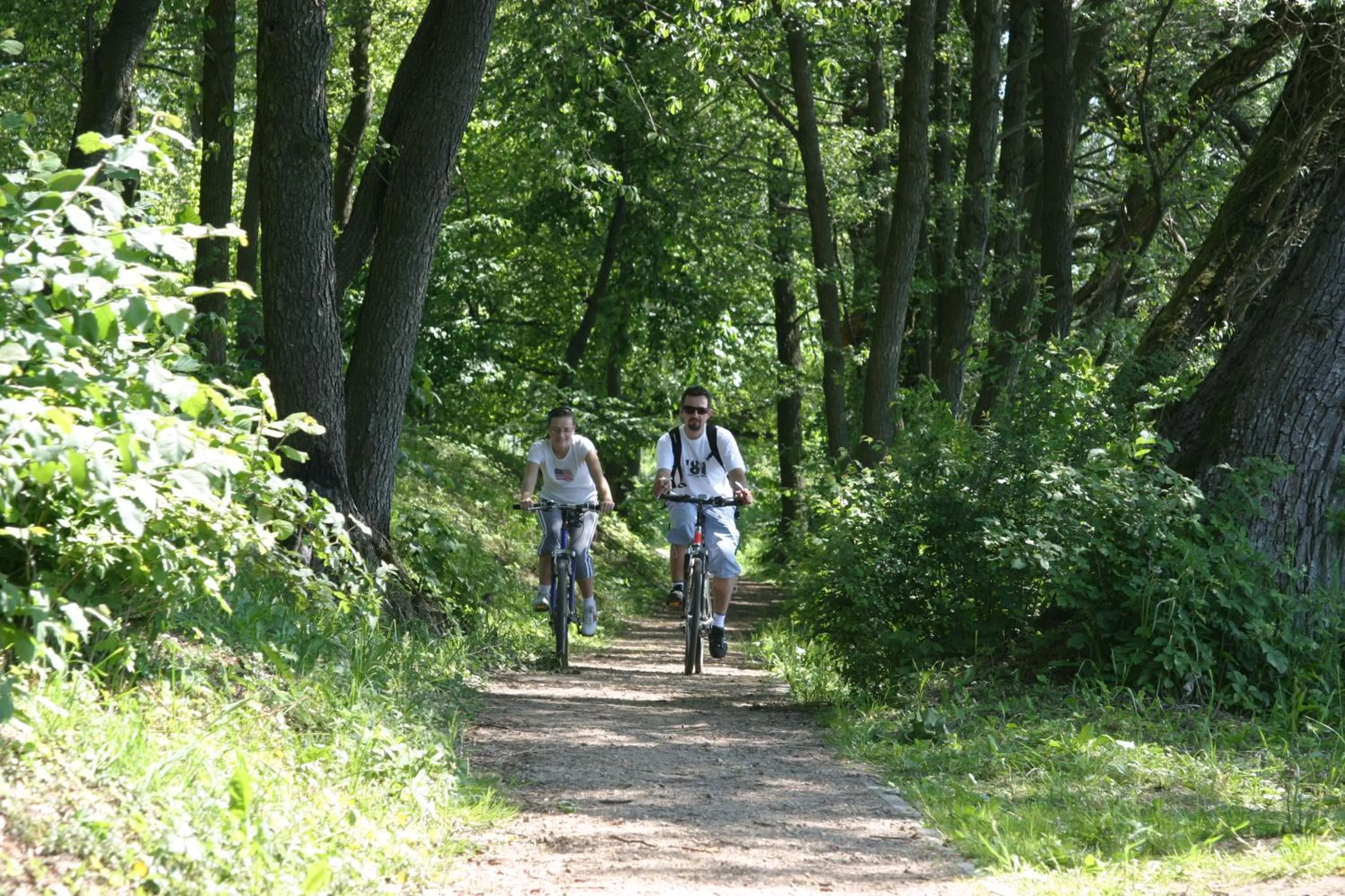 Natural landscape in Hotel Abrava