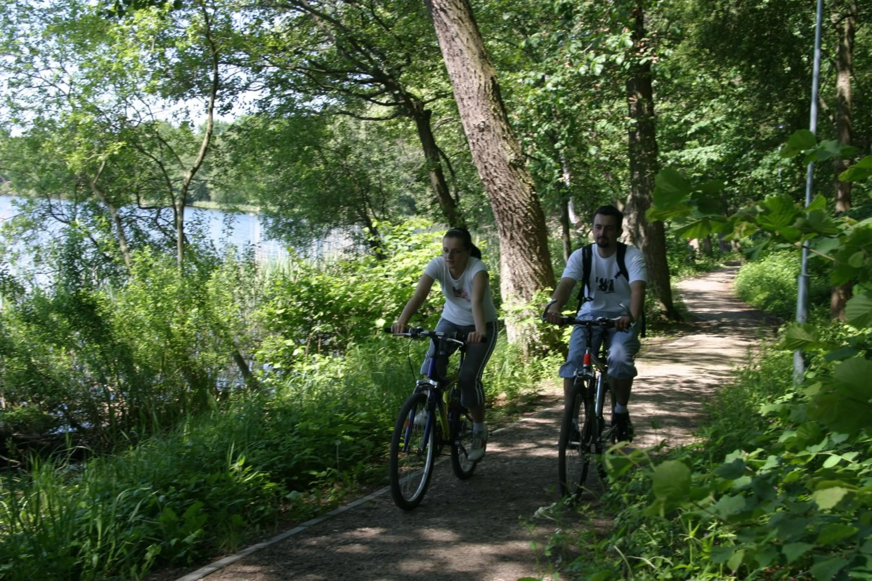 Natural landscape in Hotel Abrava