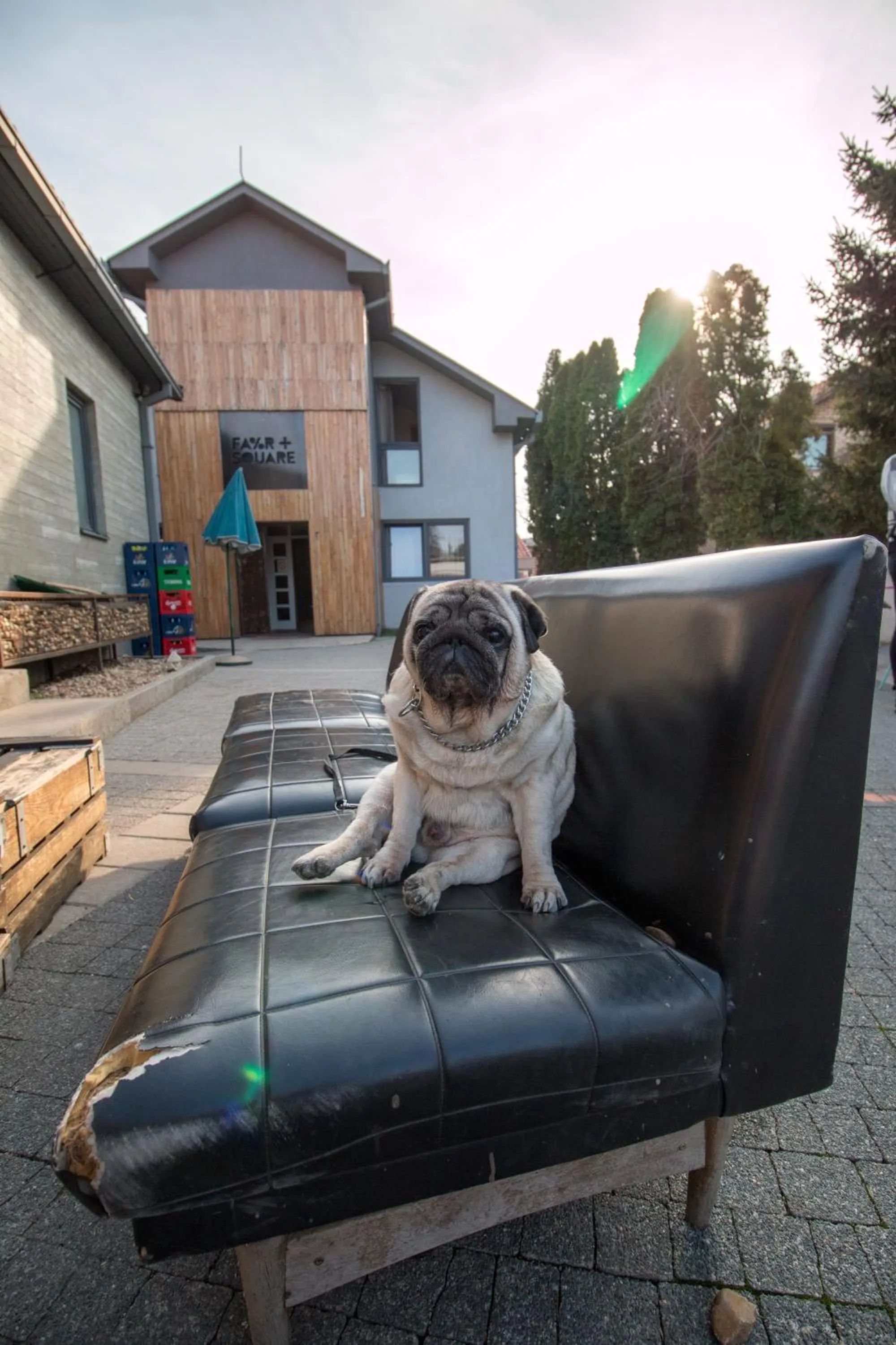 Balcony/Terrace in Hostel Fair and Square