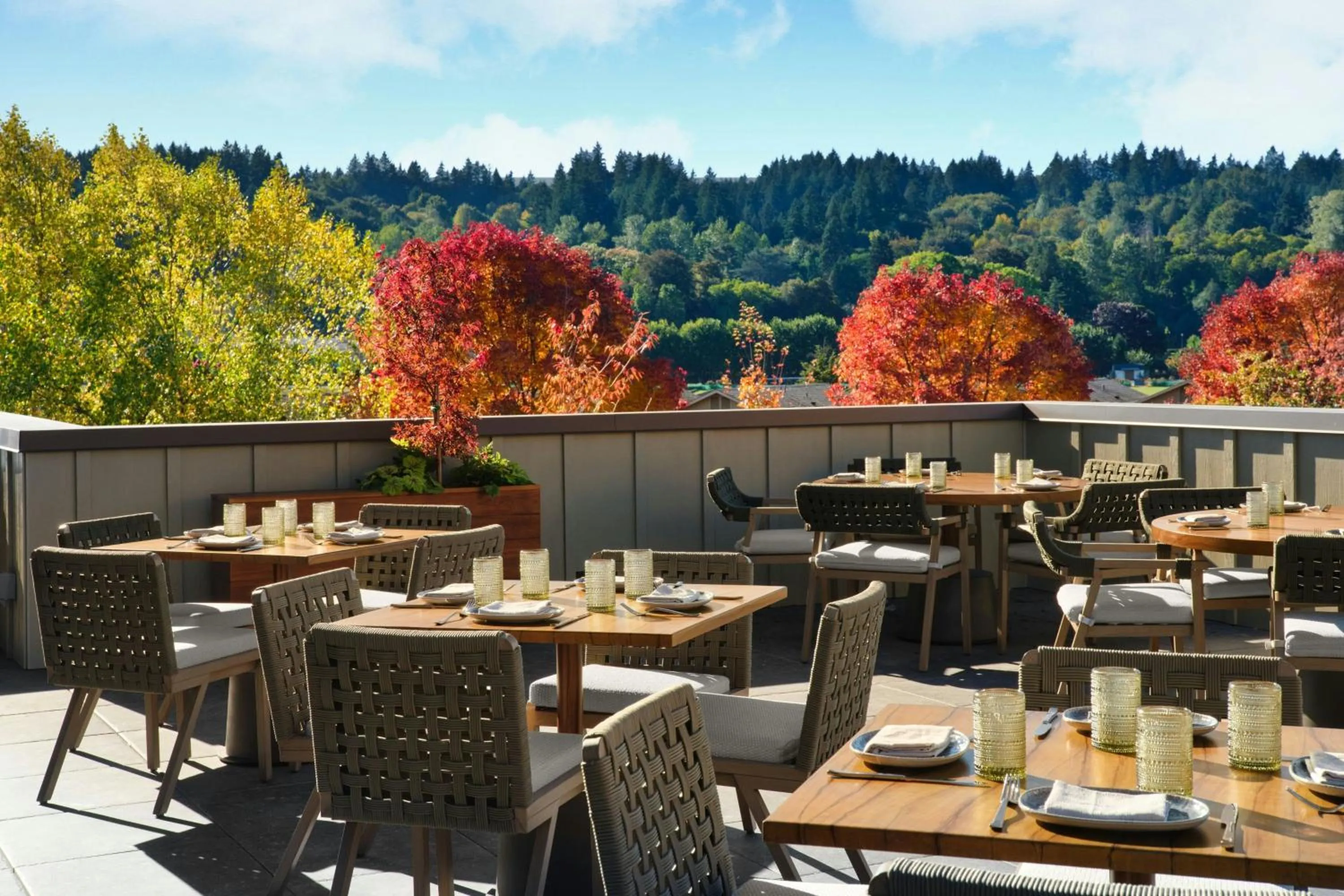 Restaurant/places to eat in The SOMM Hotel & Spa, Autograph Collection