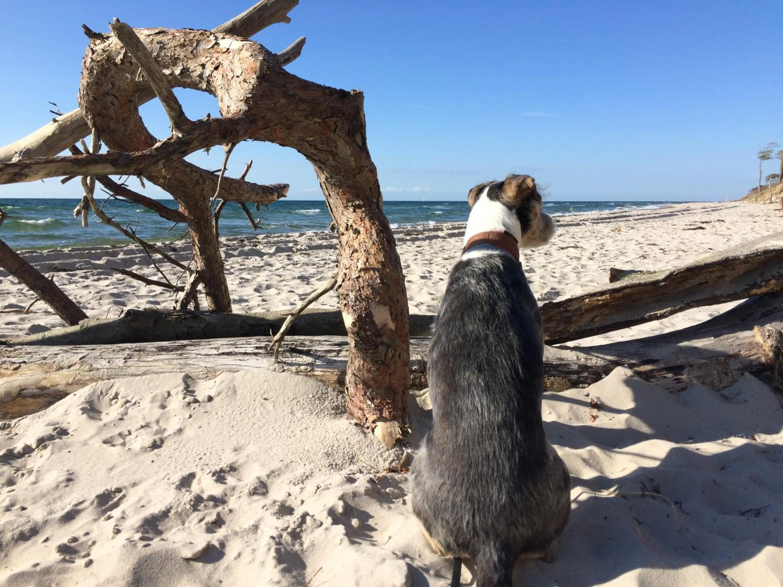 Beach in Ferienwohnung Strandgut