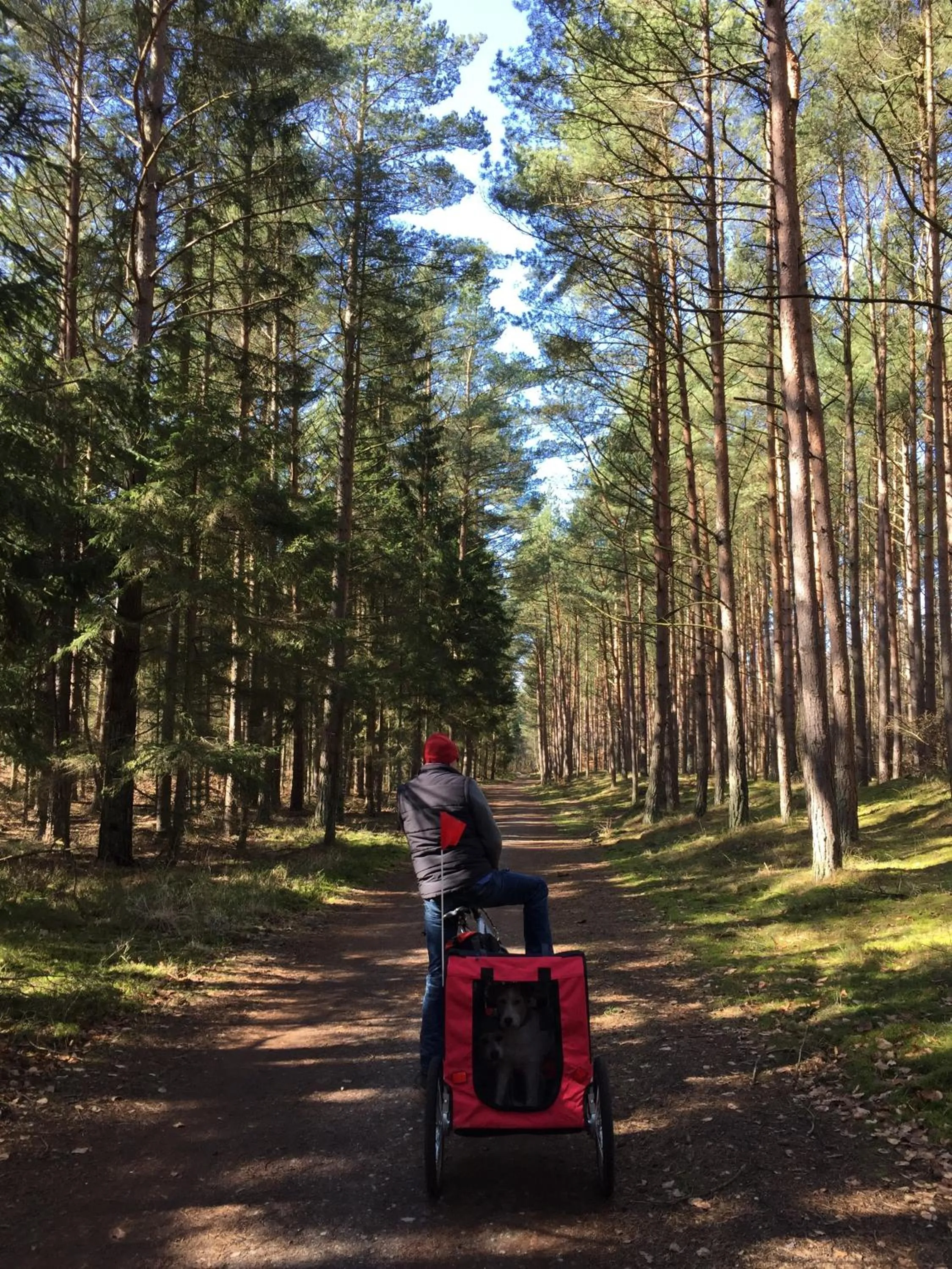 Hiking in Ferienwohnung Strandgut