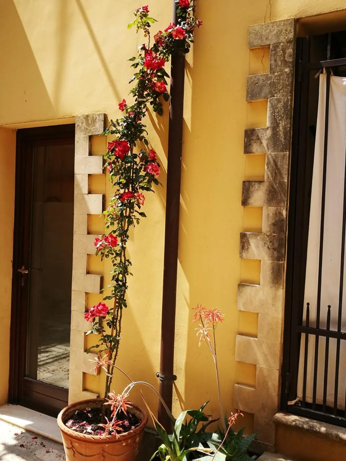 Property building in B&B Corte San Giuseppe