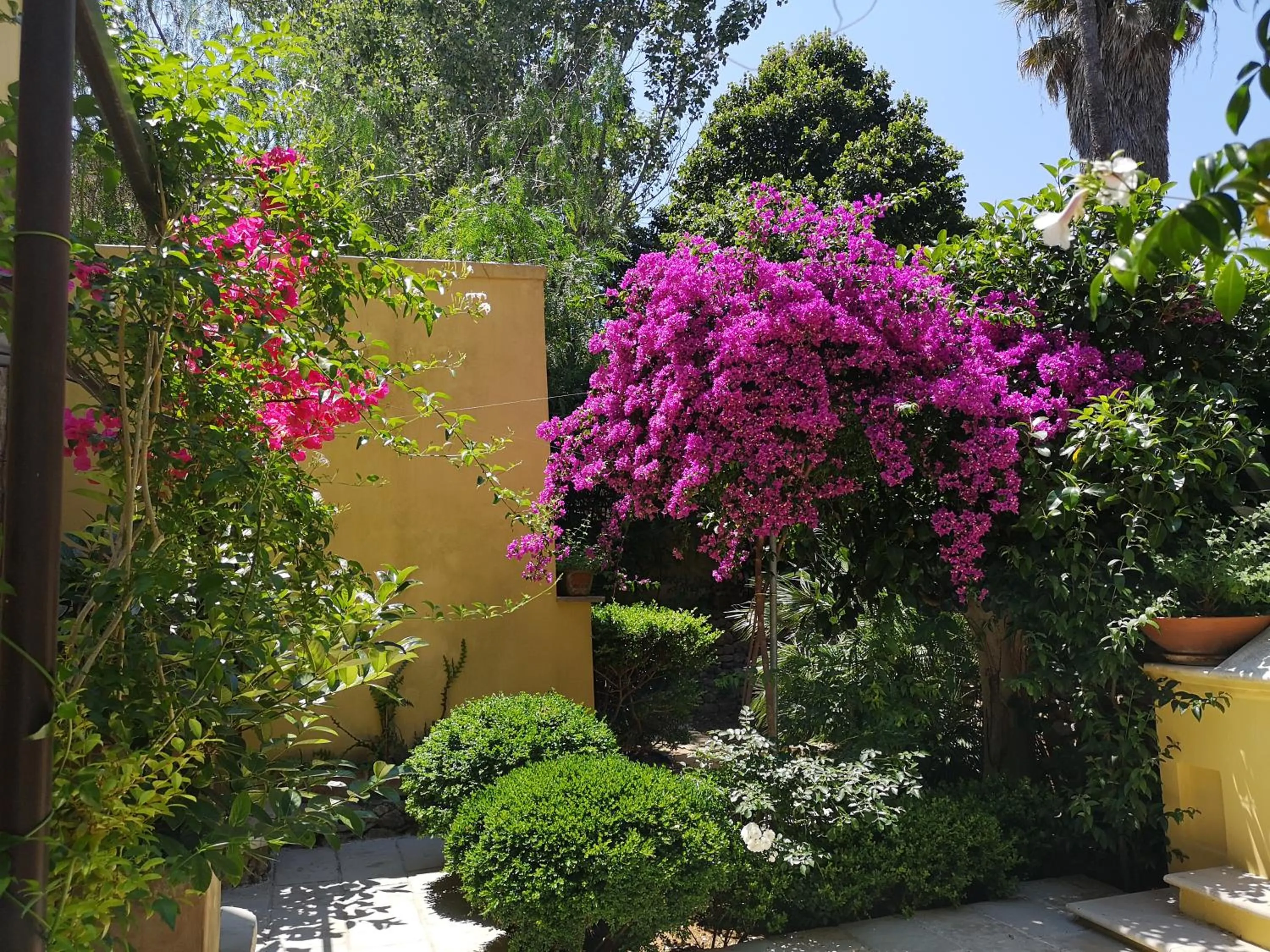 B&B Corte San Giuseppe