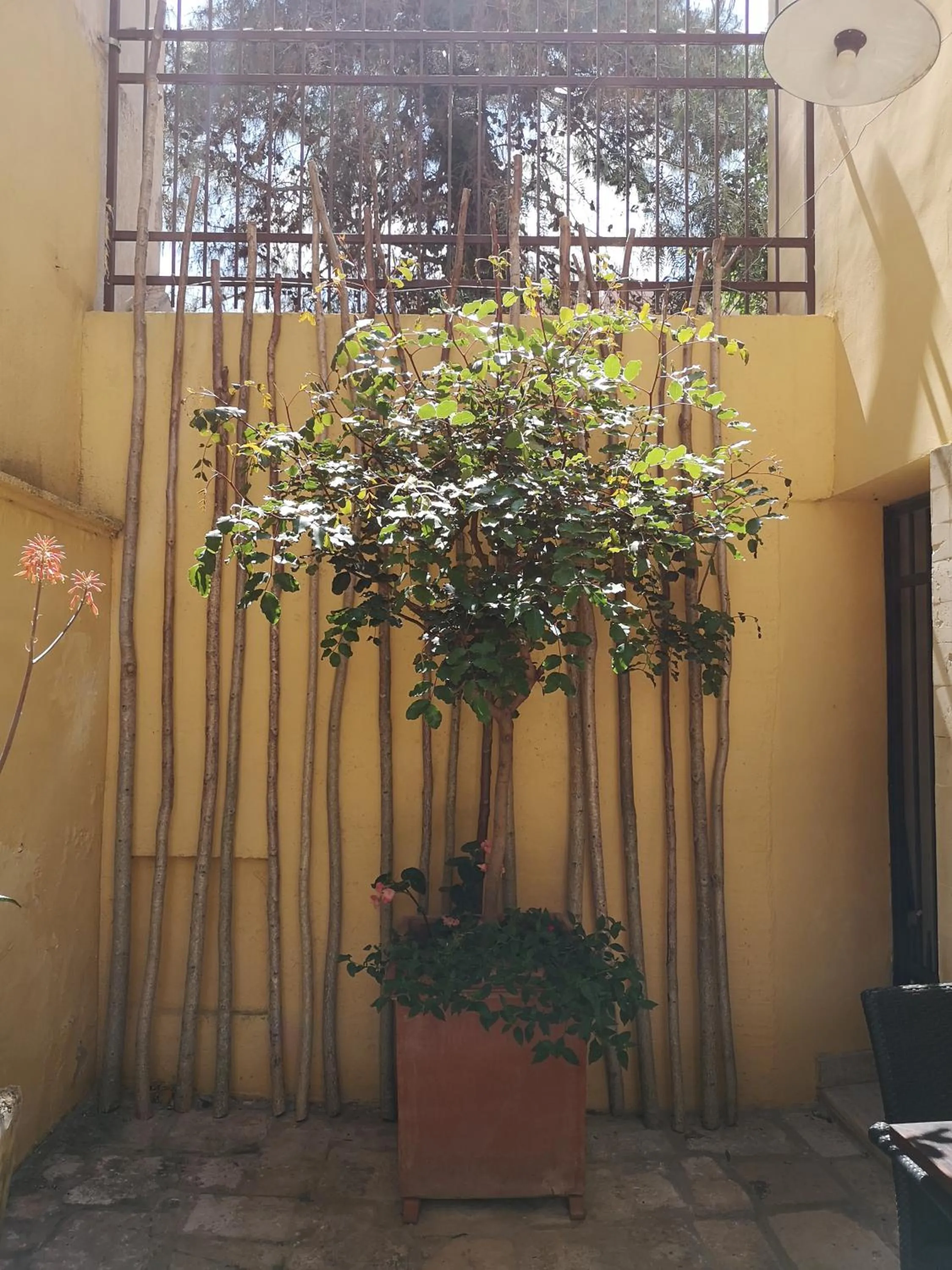 B&B Corte San Giuseppe