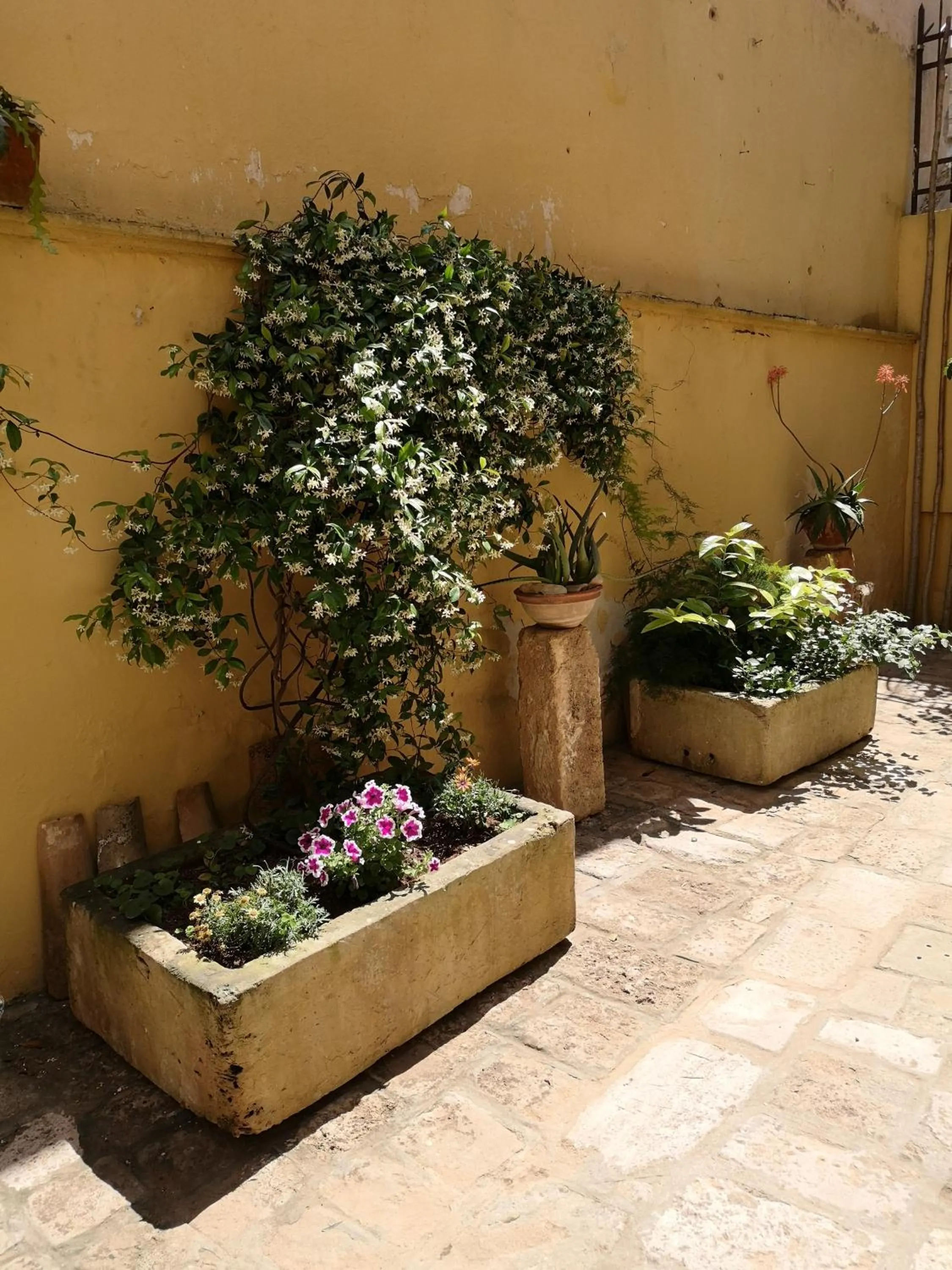 B&B Corte San Giuseppe
