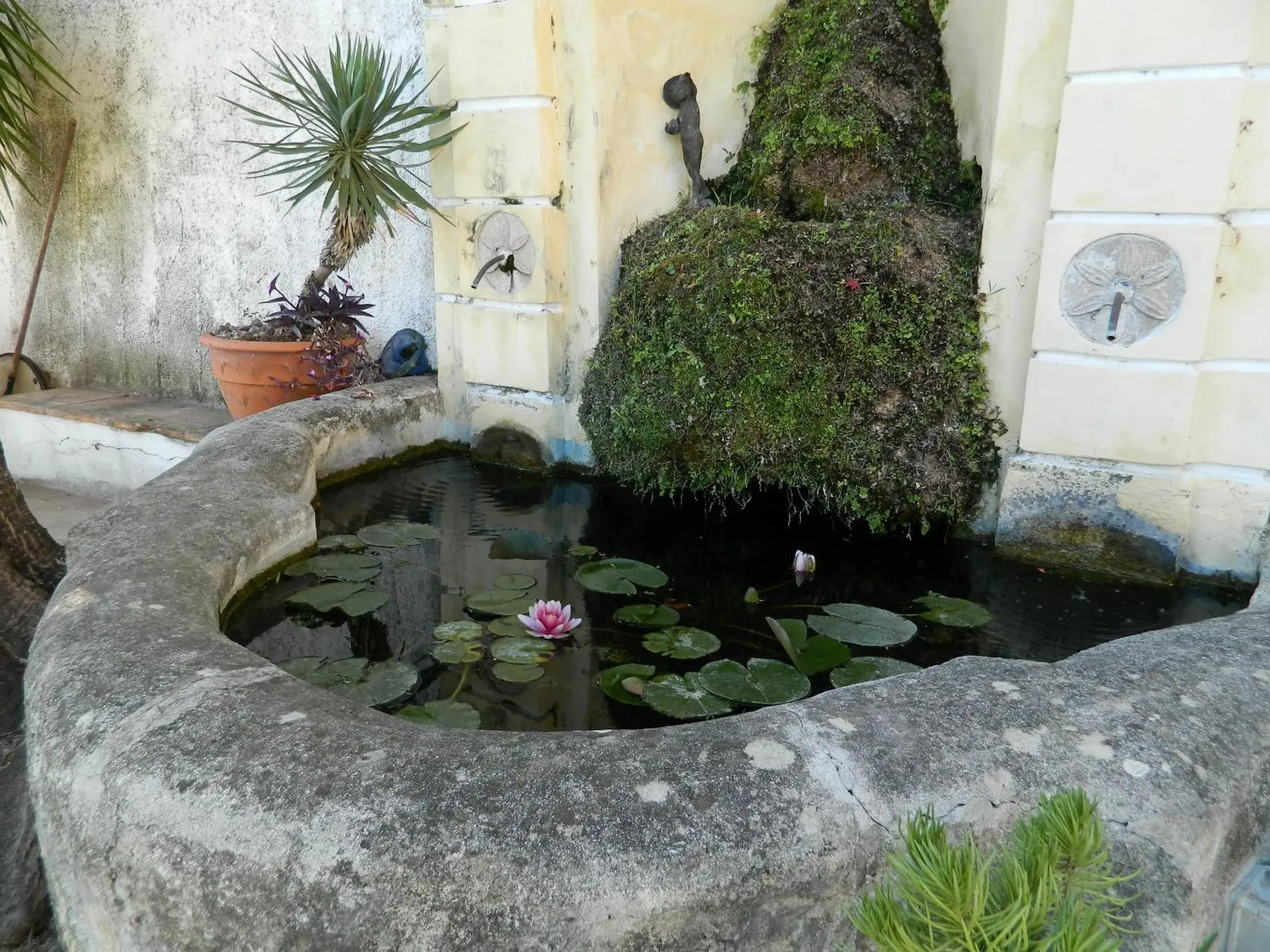 Small Double Room - single occupancy in Il Nido del Gabbiano Small Double Room - single occupancy in Il Nido del Gabbiano