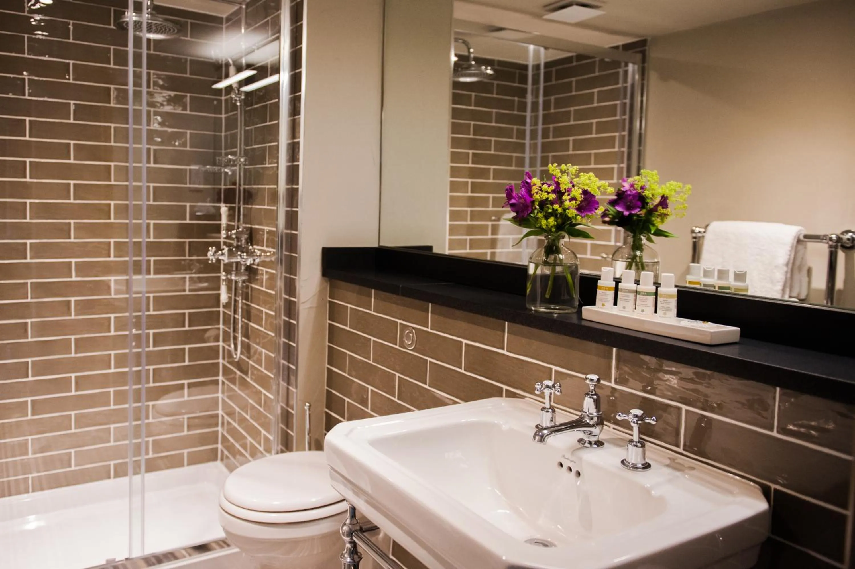 Toilet in The White Hart, Overton