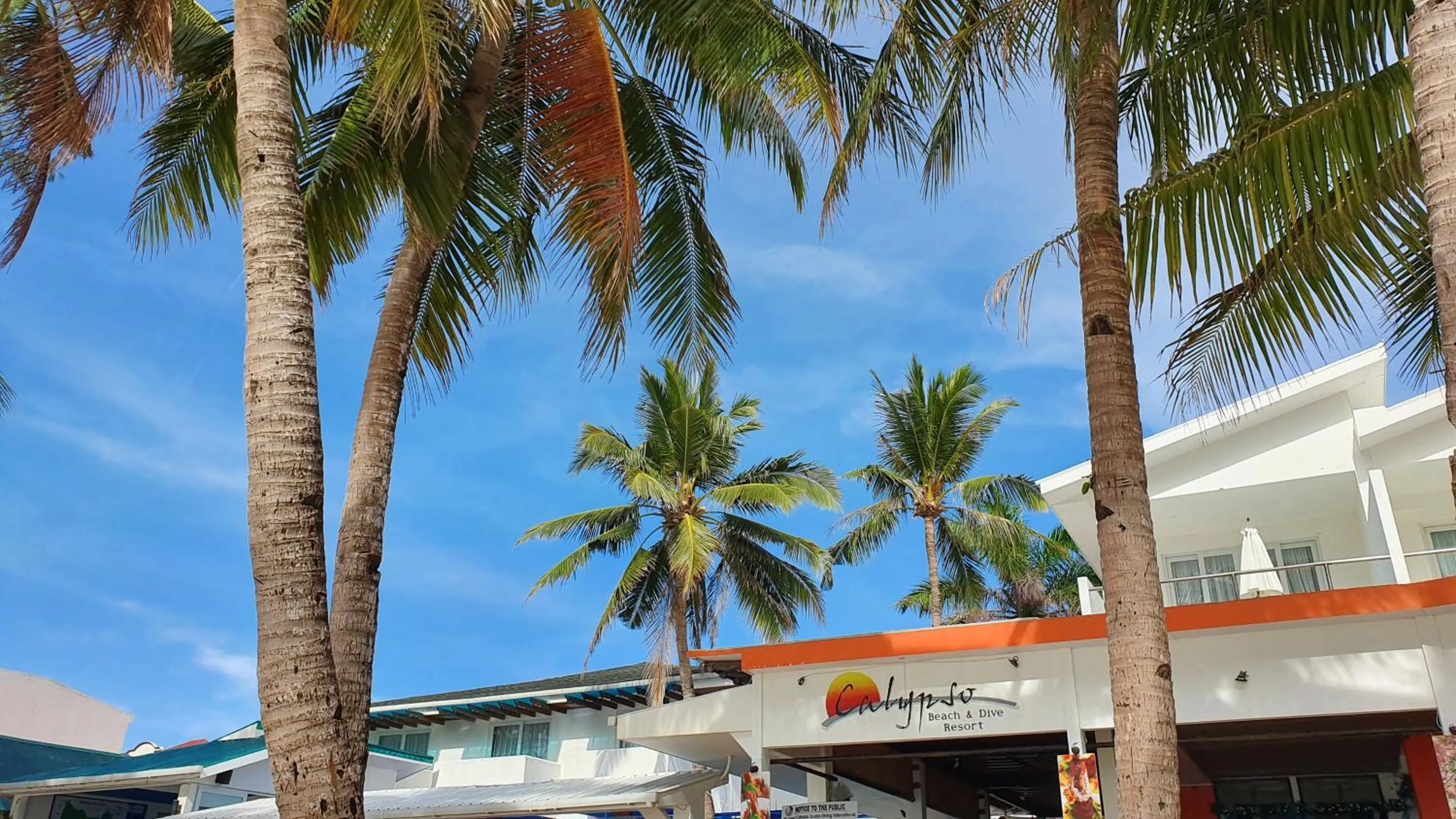 Day in Calypso Beach and Dive Resort