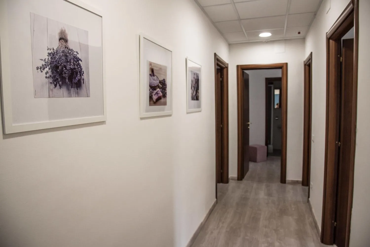 Area and facilities in Grandis Rooms