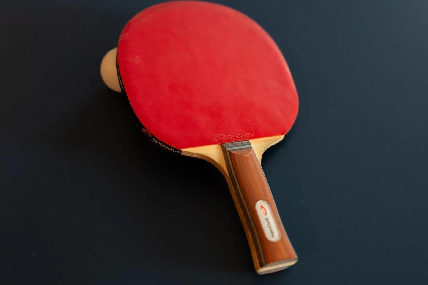 Sports in Willa Świdrówka