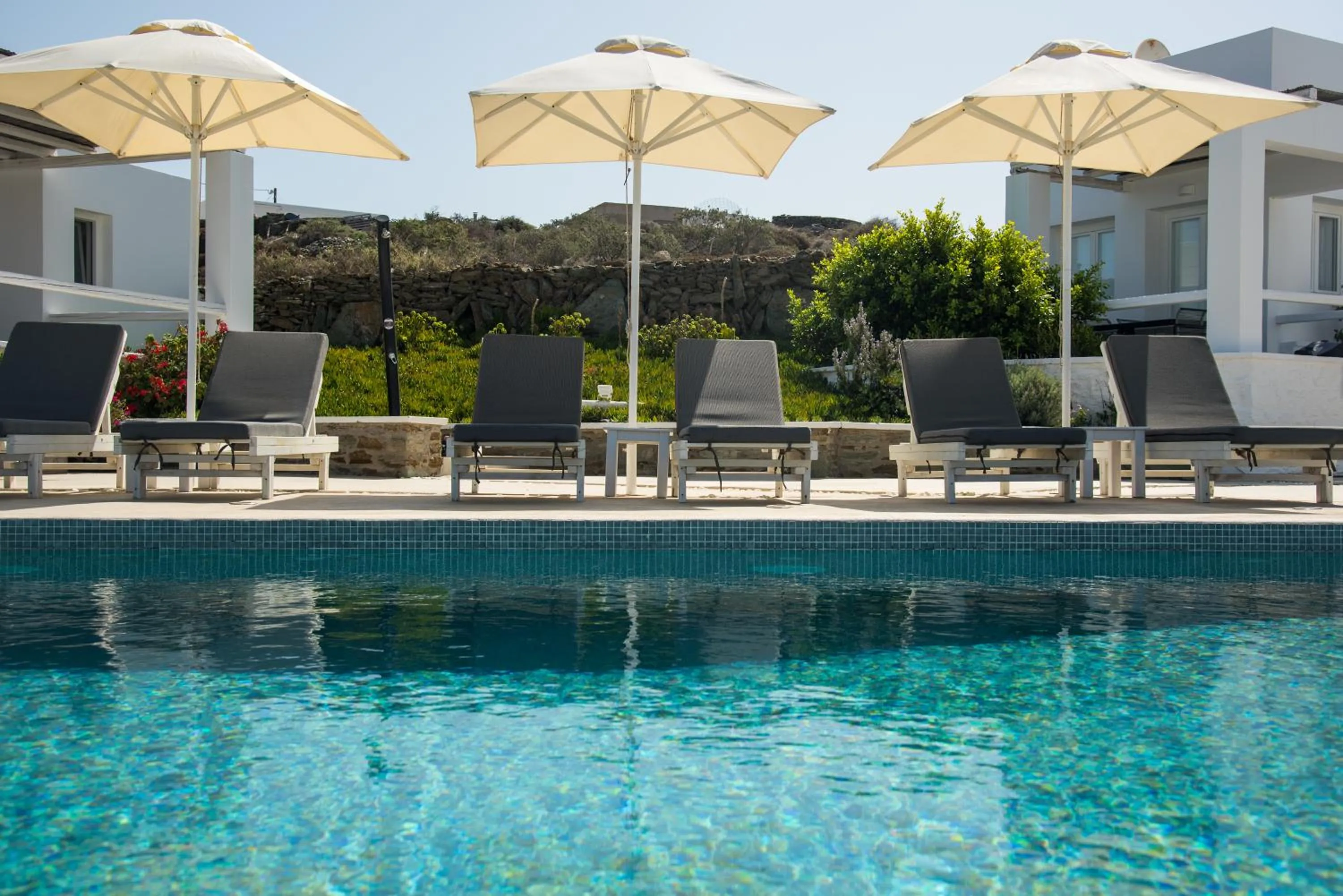 Swimming pool in Lemon Tree Houses