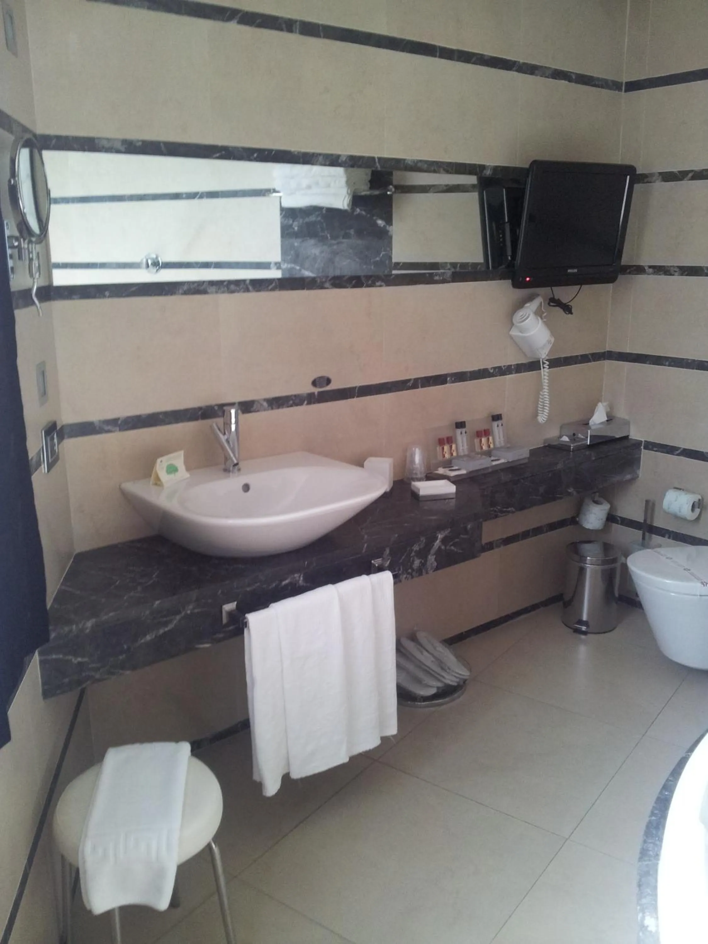 Toilet in Hotel Excelsior