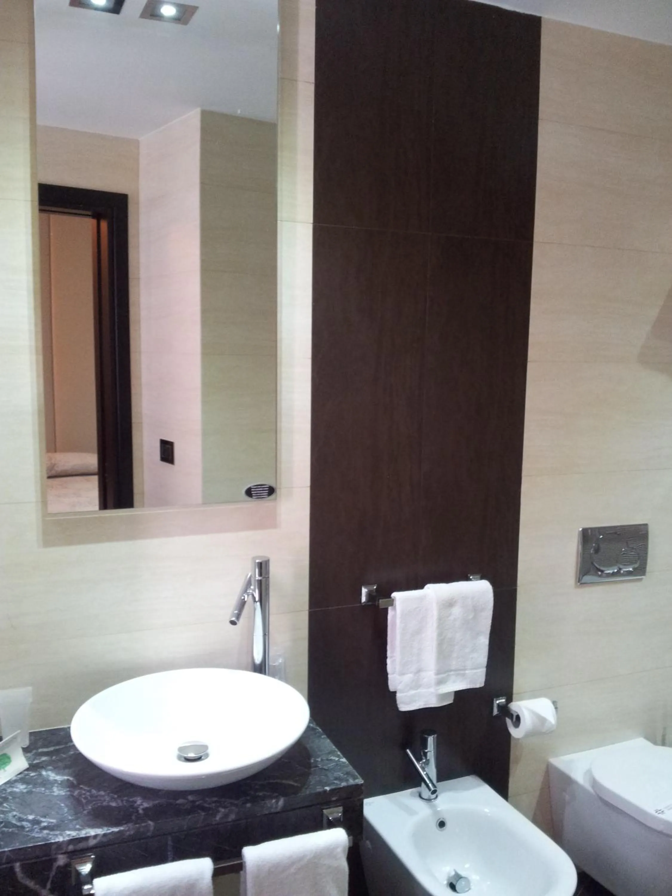 Toilet in Hotel Excelsior