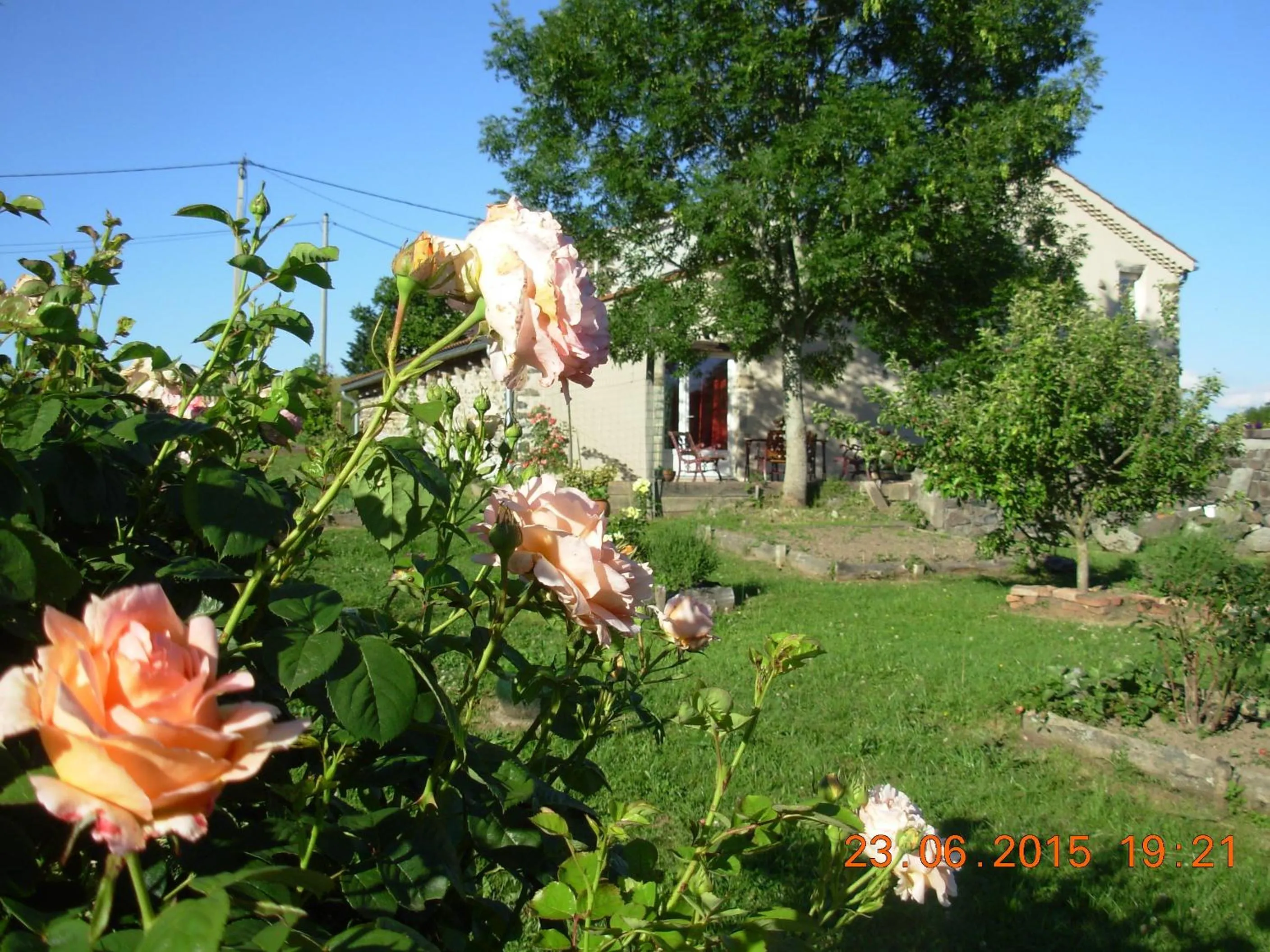 Garden in Le Jardin des Pierres Brunes