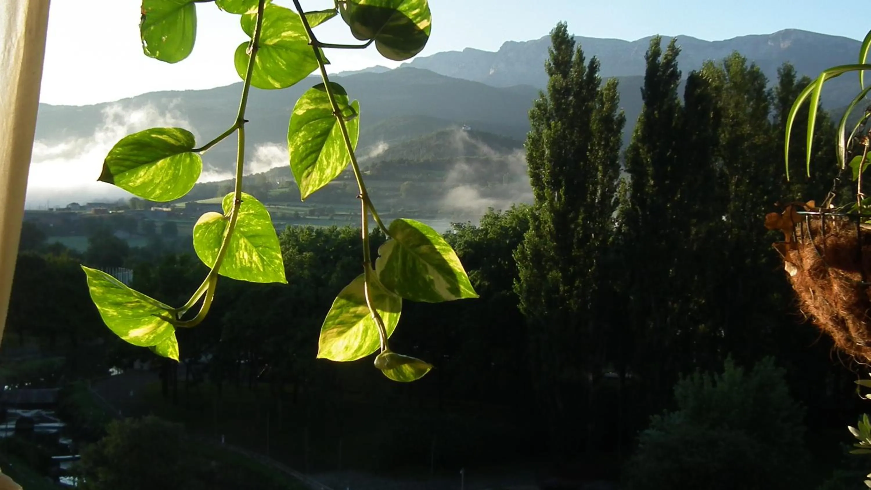 Summer in Casa Catharina