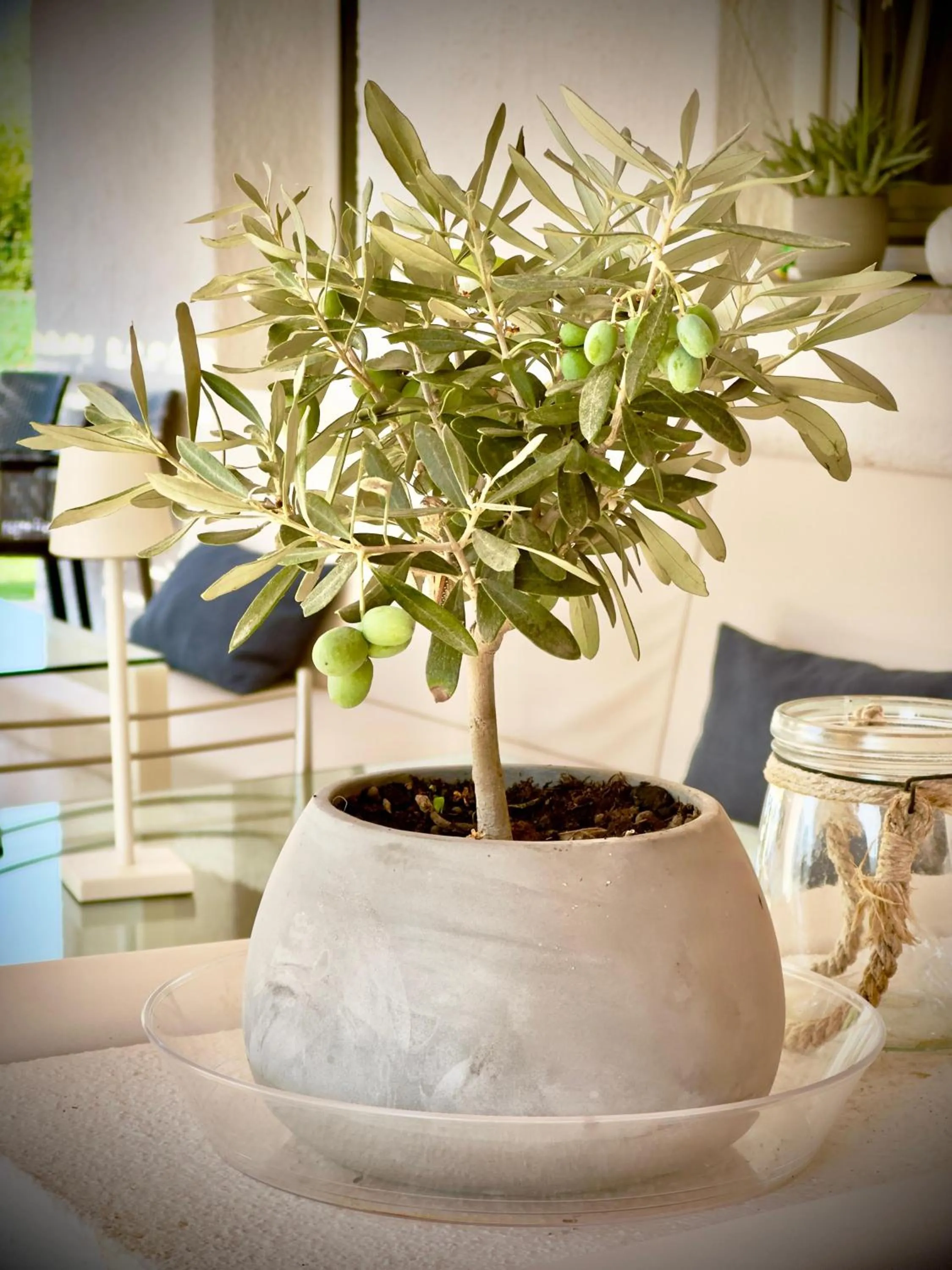 Decorative detail in bbolbia - bed and breakfast