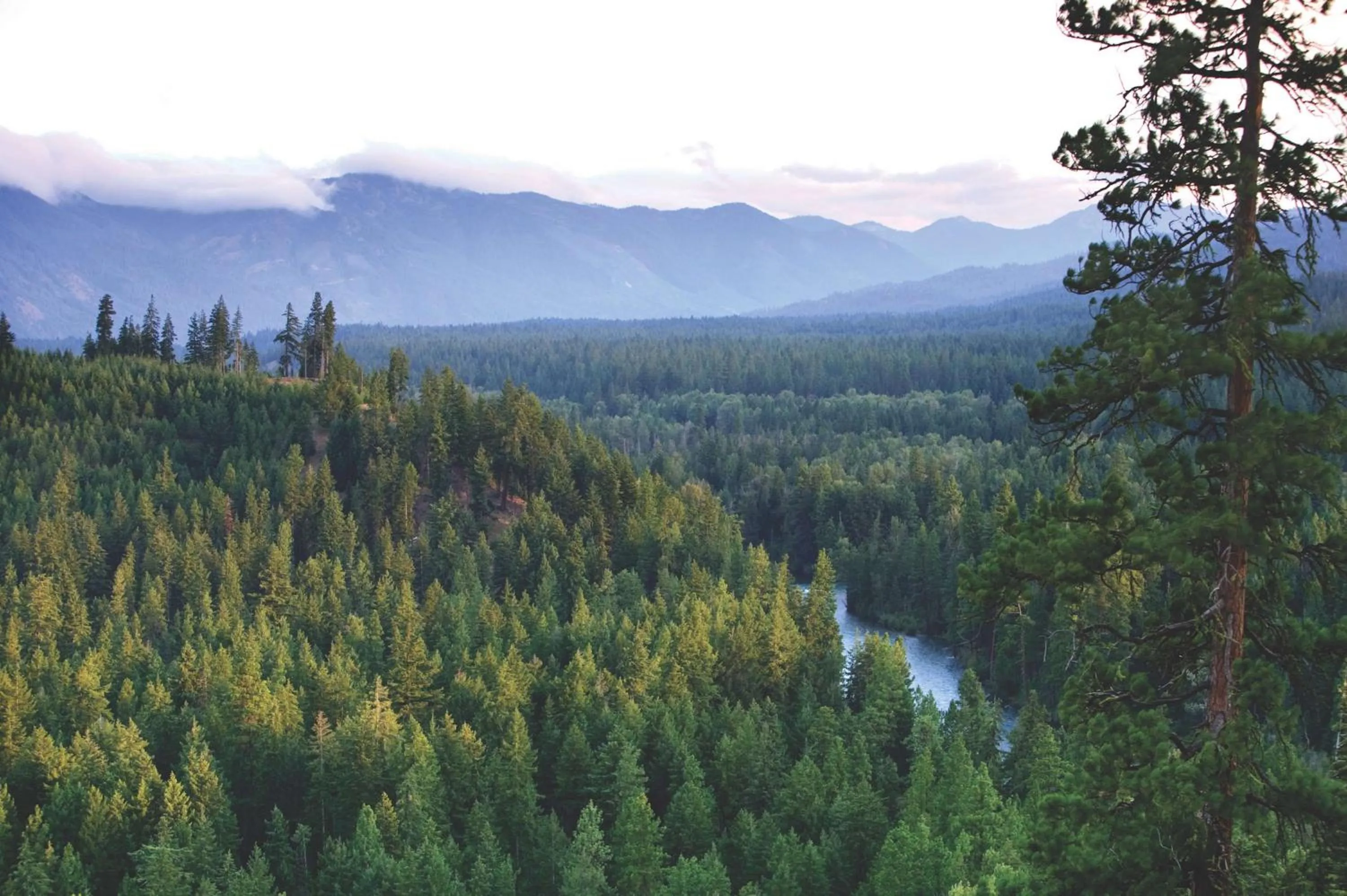 Location in Suncadia Resort