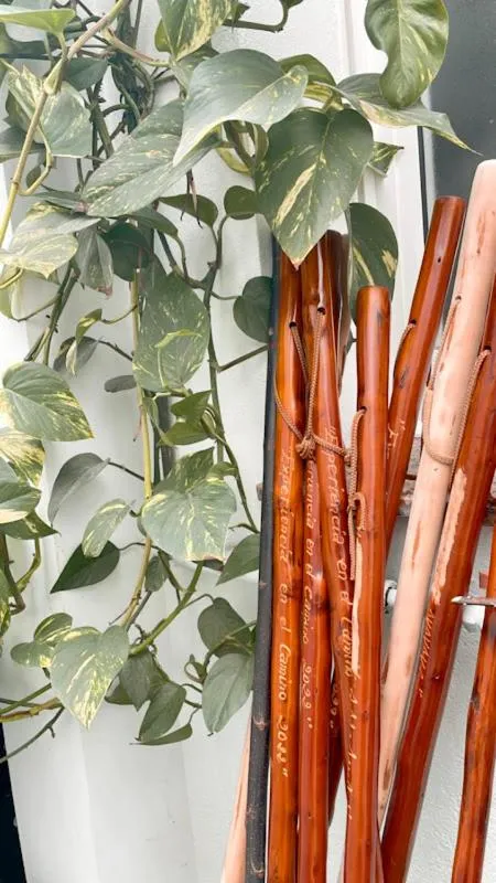 On-site shops in Casa Pazos, Pedrafita do Cebreiro